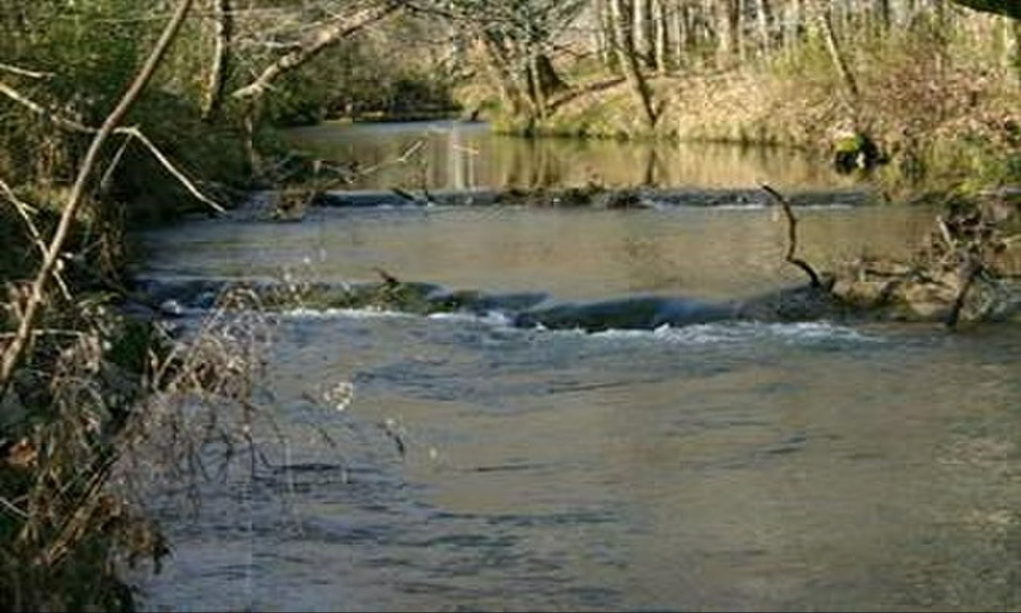 Alabaster, AL Fishing: Fantastic Freshwater Fishing South of Birmingham