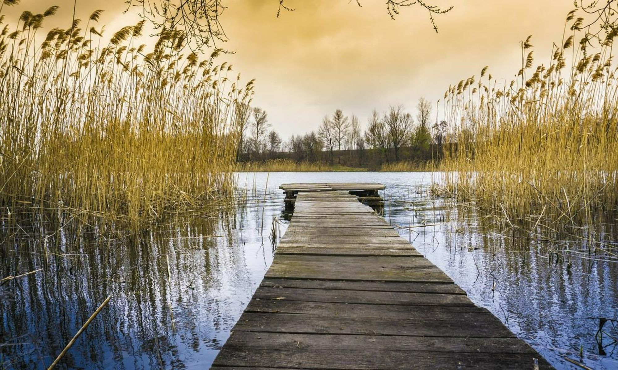Alamo, GA Fishing: A Tranquil Getaway
