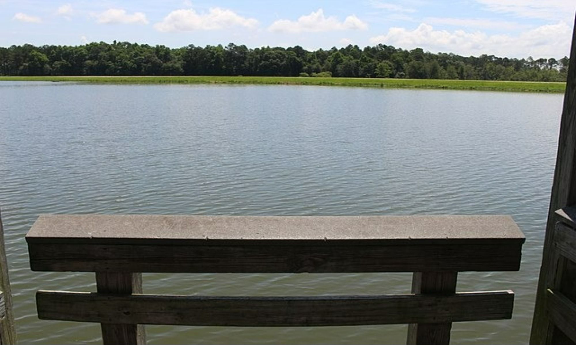 Book Your Fishing Charter in Alapaha, GA