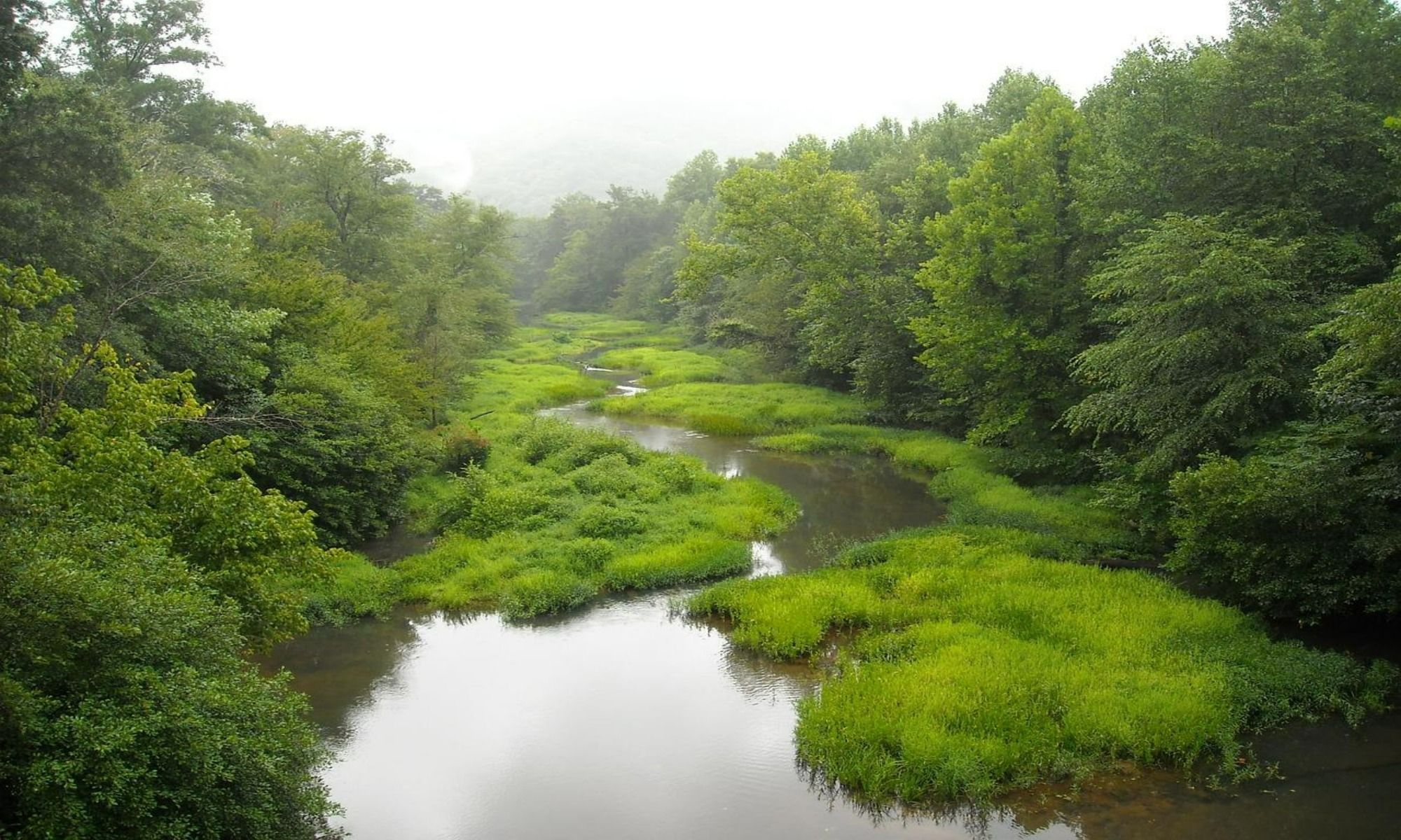 Book Your Fishing Charter in Albertville, AL