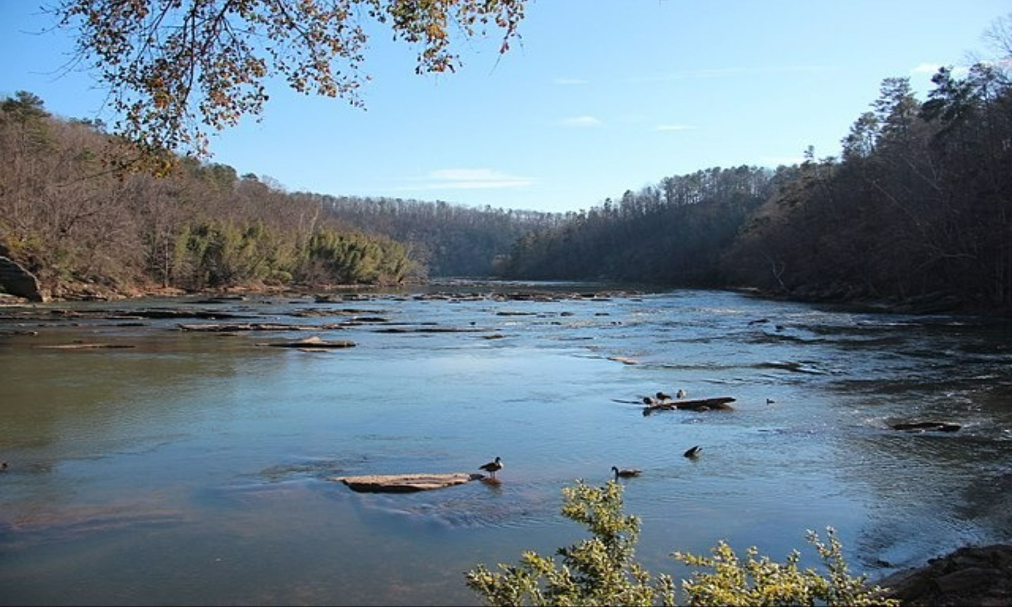 Book Your Fishing Charter in Alpharetta, GA