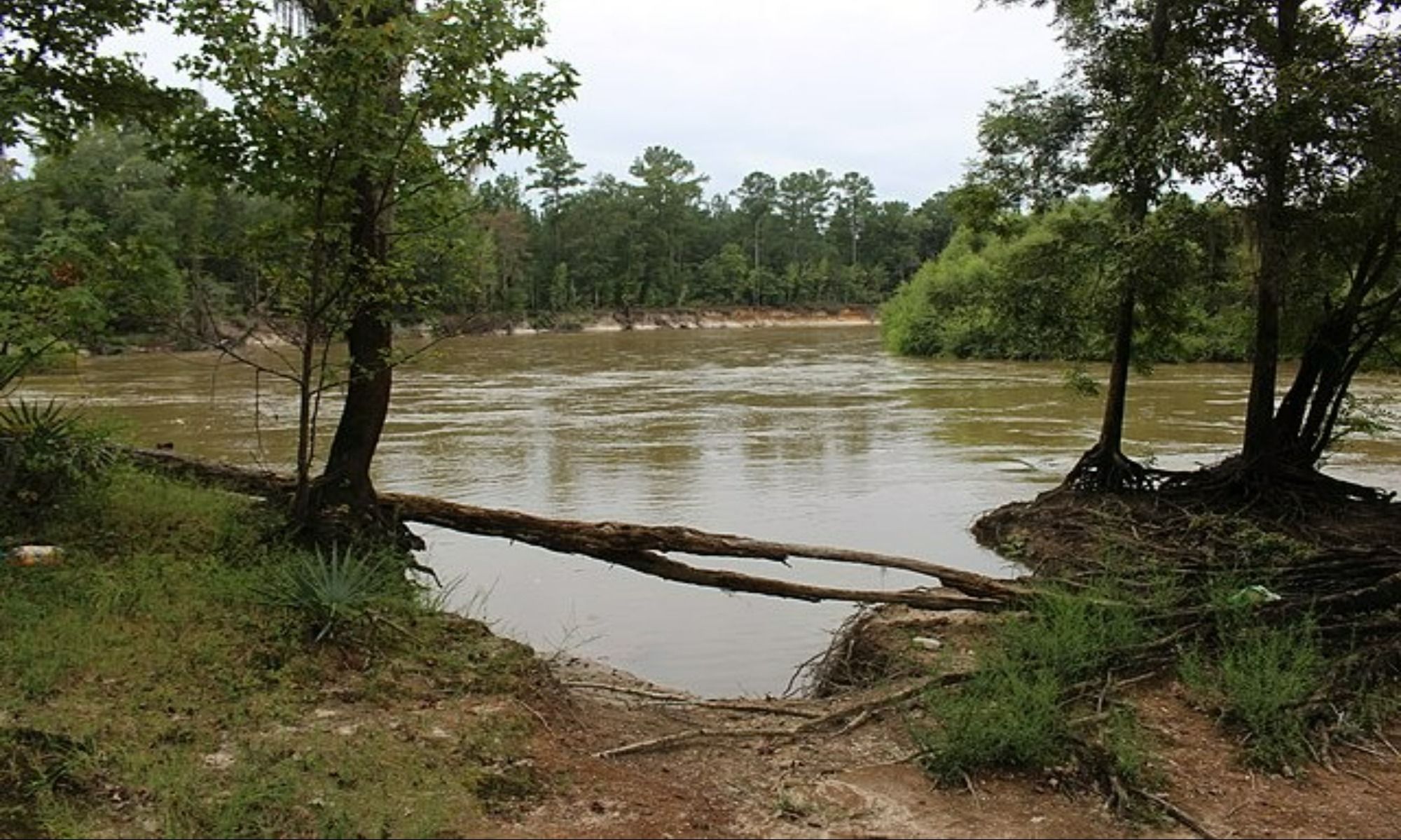 Book Your Fishing Charter in Alston, GA