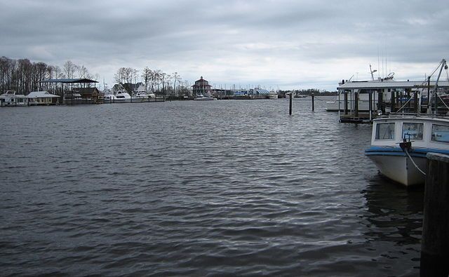 Book Your Fishing Charter in Amite City, LA