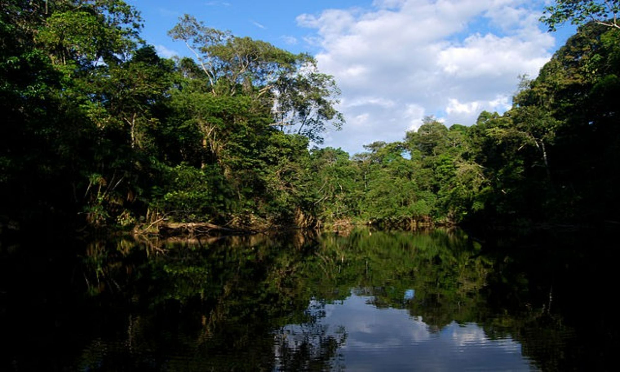 Book Your Fishing Charter in Andalusia, AL