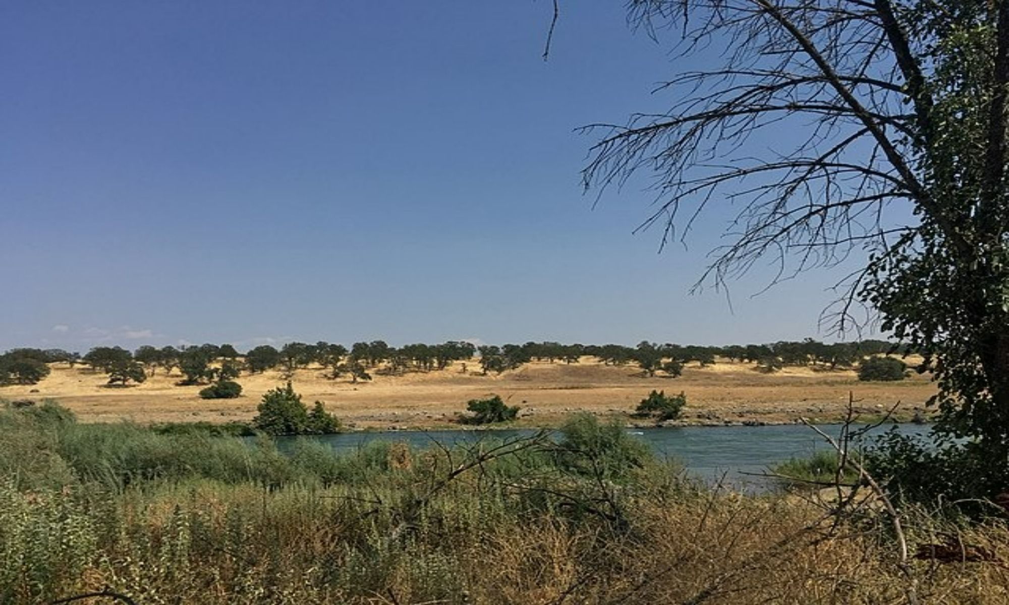 Book Your Fishing Charter in Anderson, CA