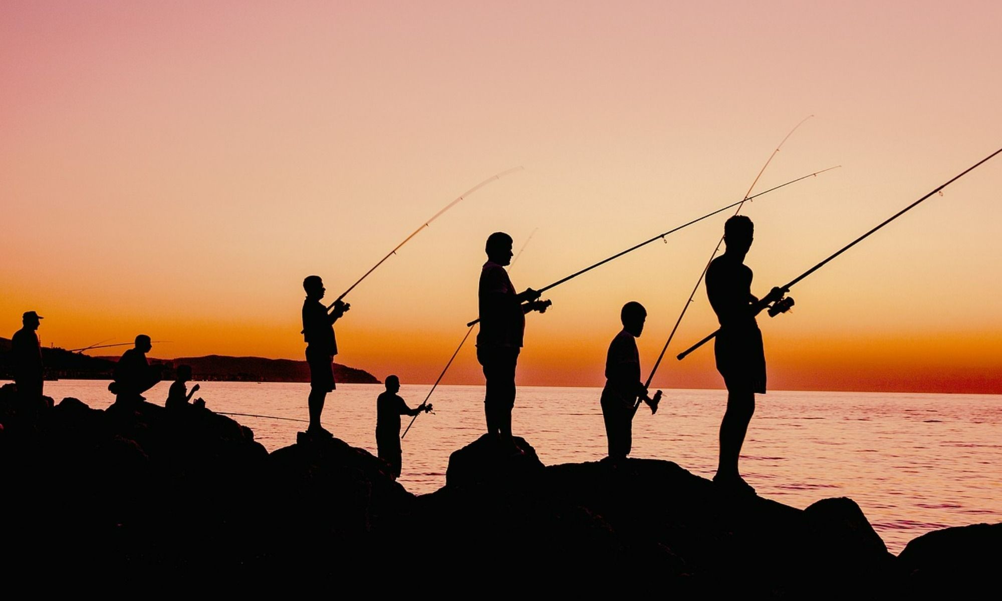 Which Type of Angler Are You?