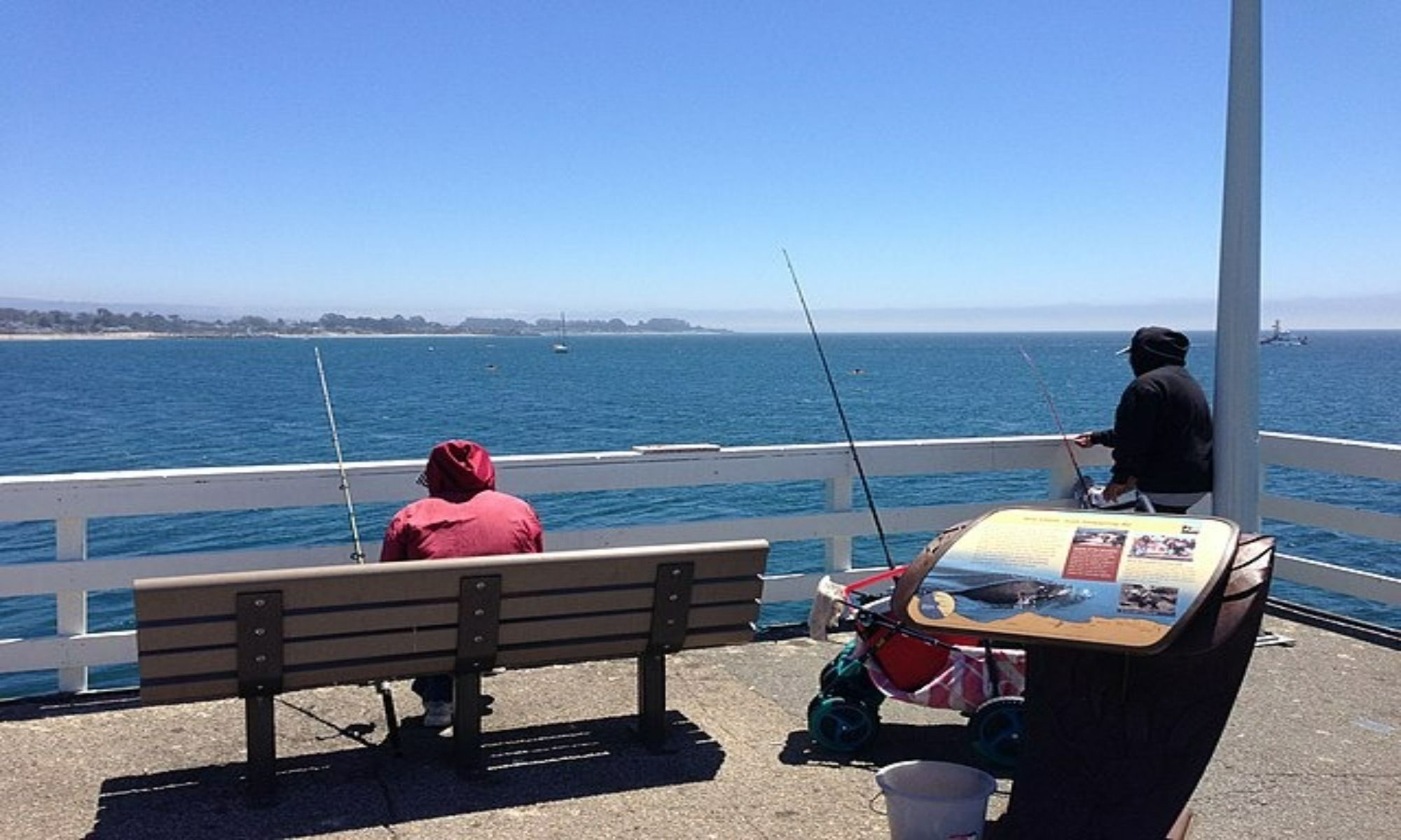 How Do Anglers Help To Protect the Environment