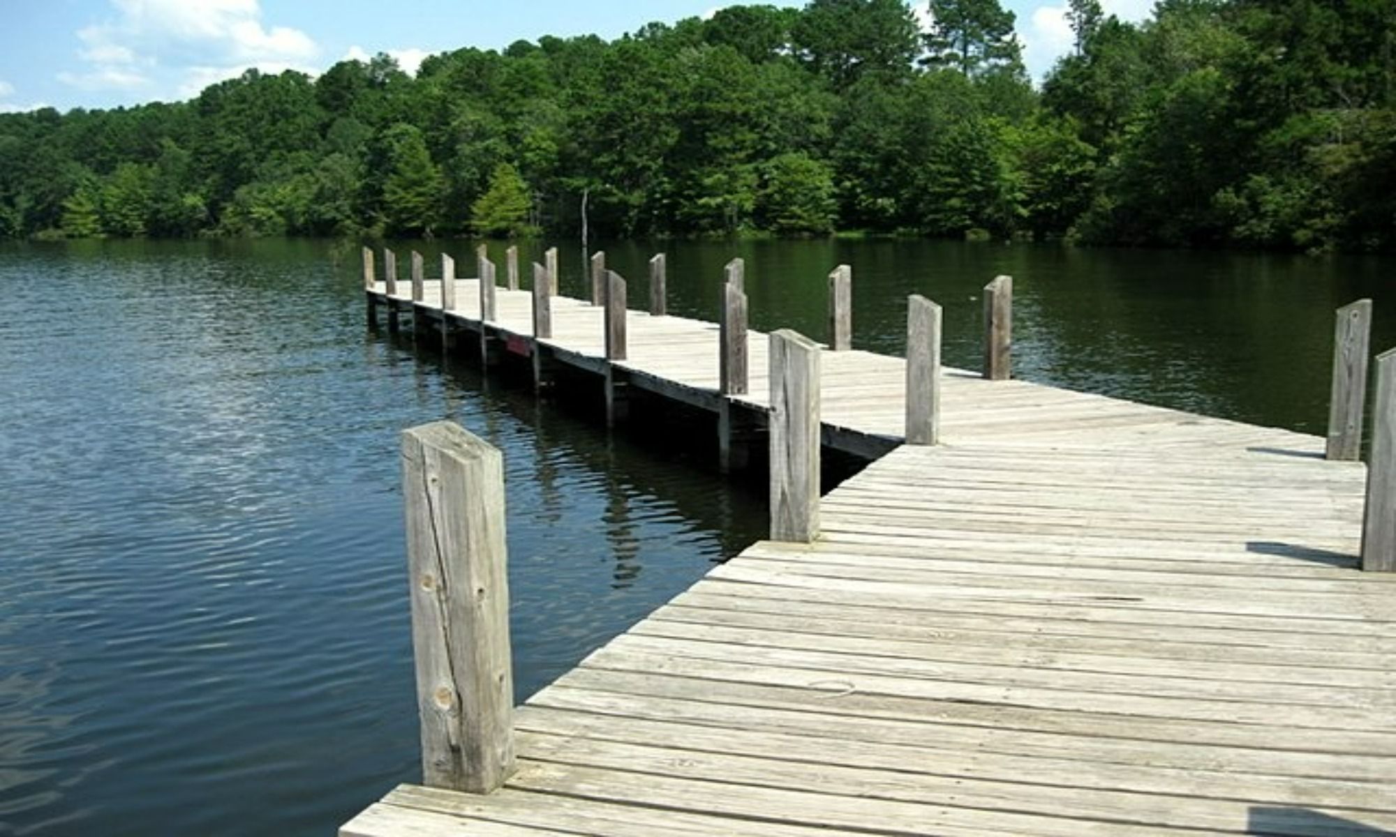 Book Your Fishing Charter in Arcadia, LA