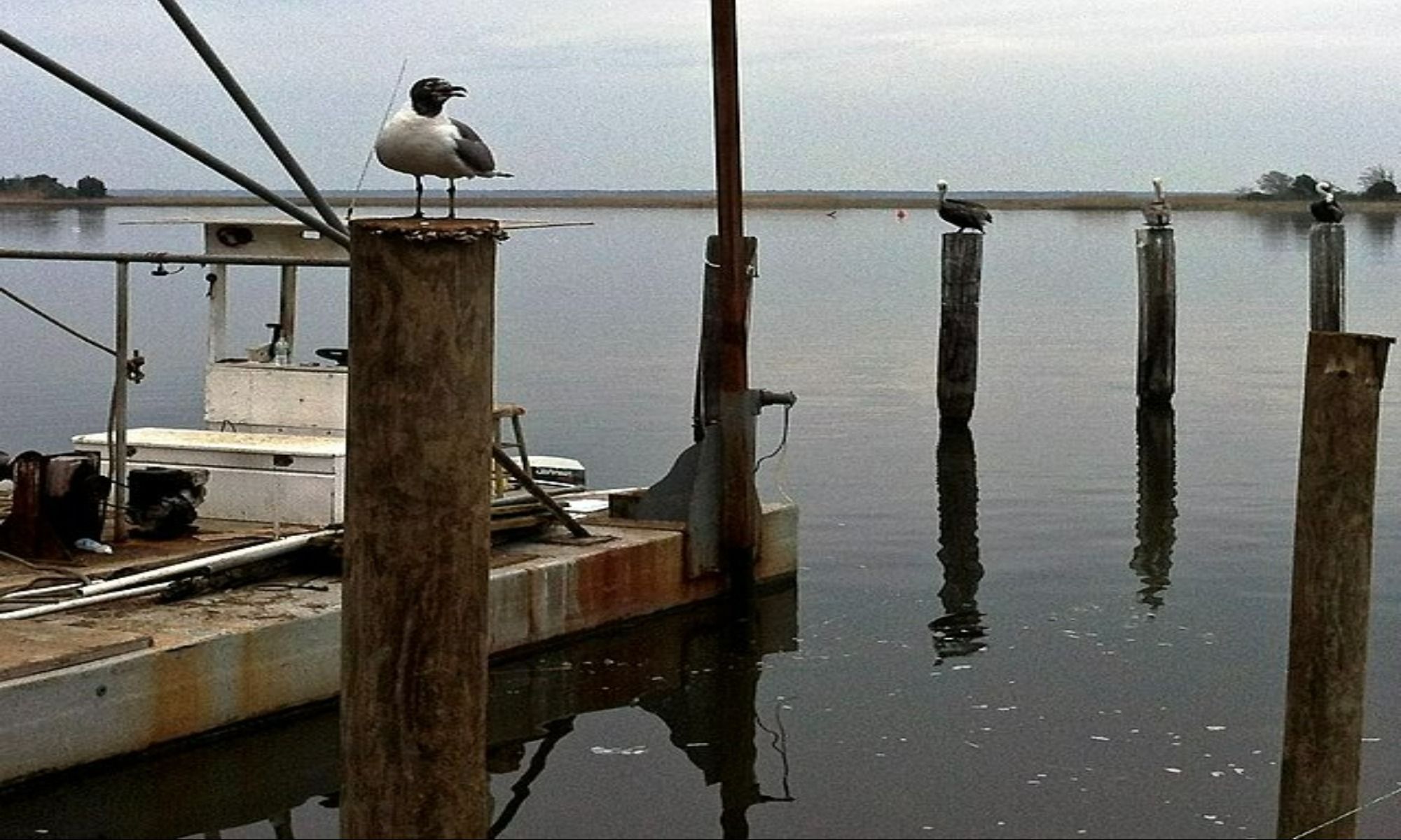 Ashford, AL Fishing: Experience Freshwater Fishing in the Southeast Corner of Alabama