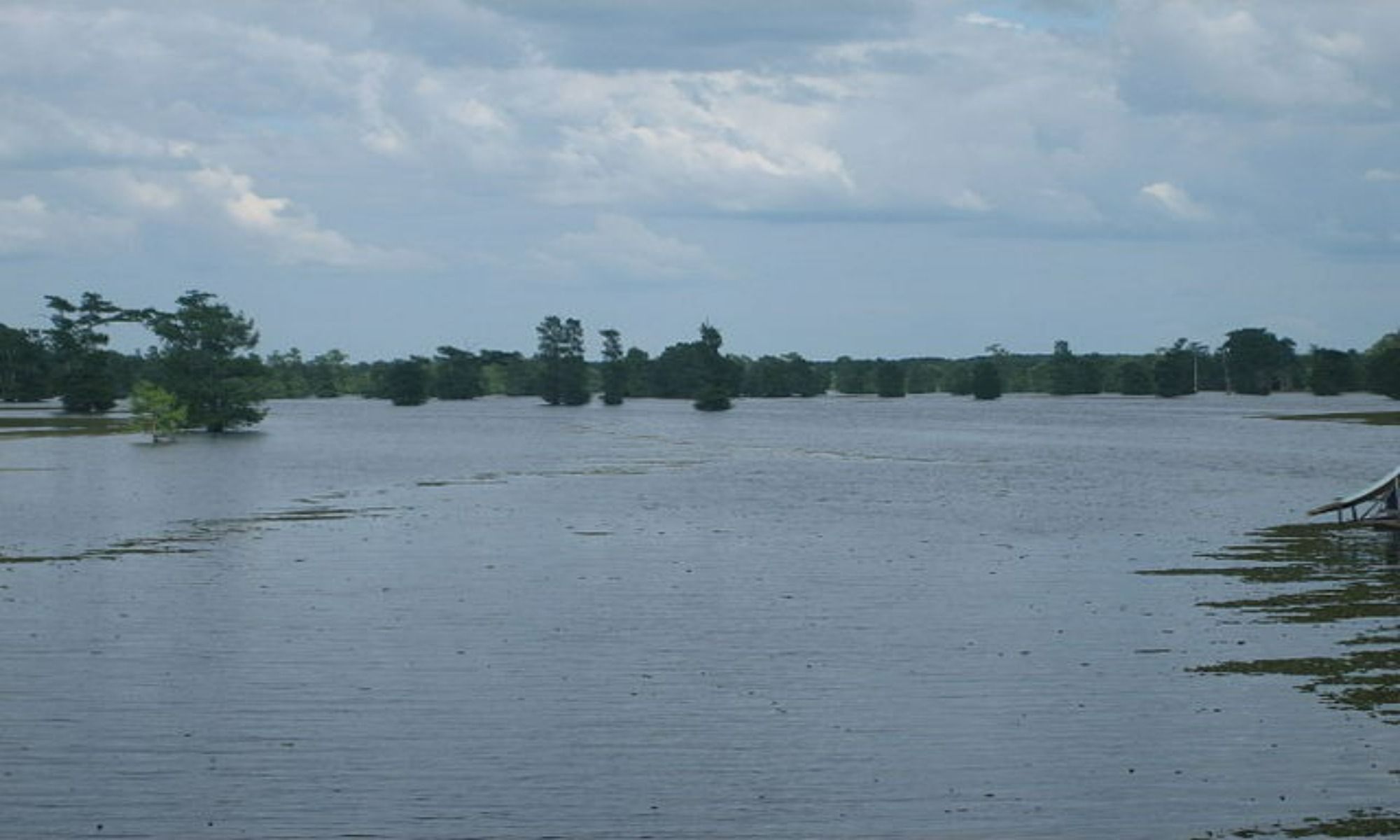 Athens, LA Fishing: The Rural Destination for Serene Angling