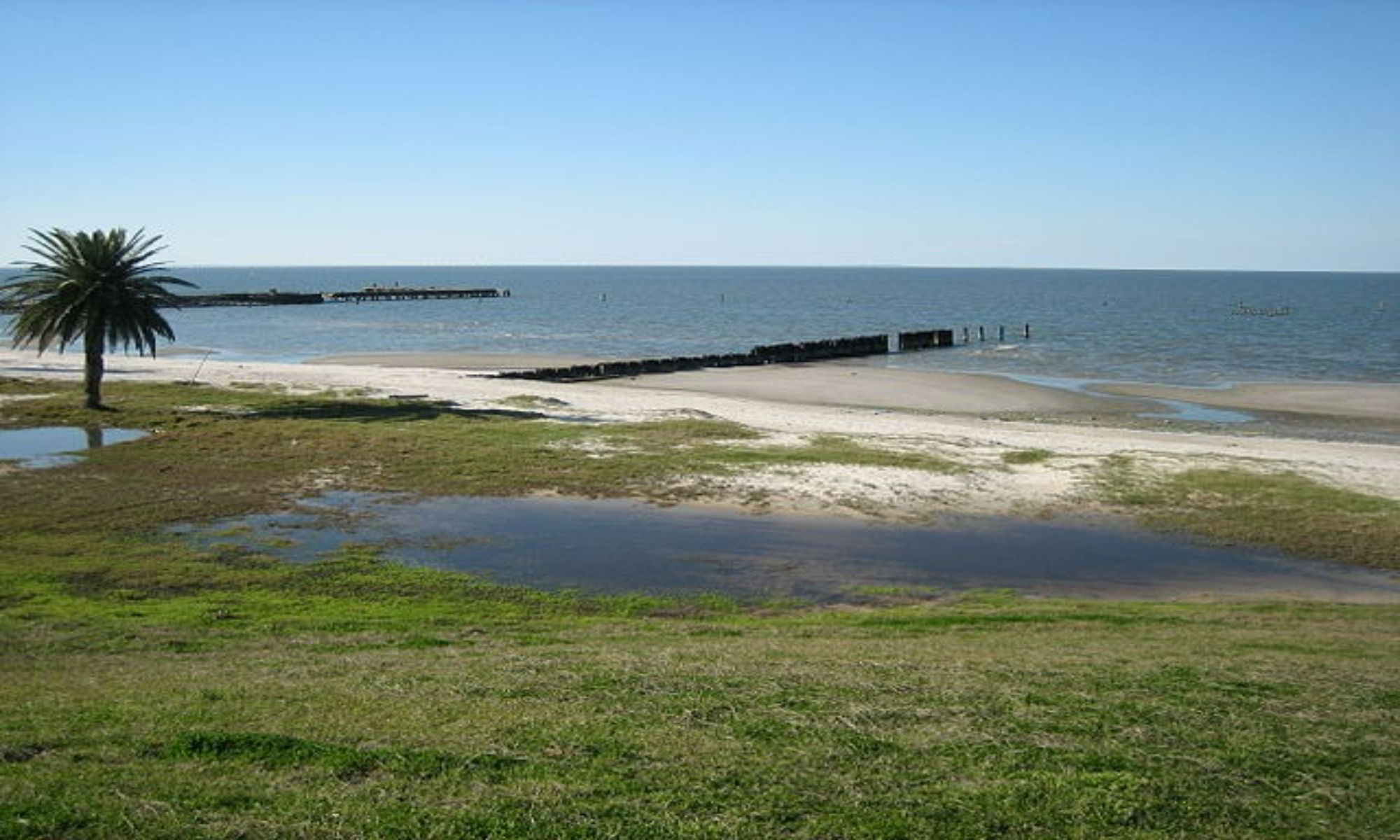 Book Your Fishing Charter in Atlanta, LA