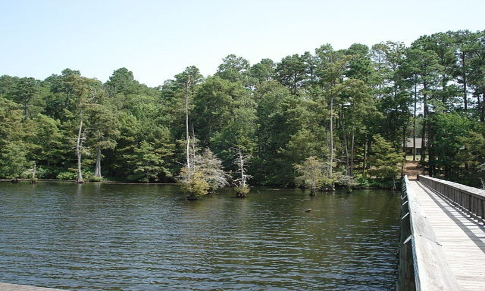 Atlanta, LA Fishing: Colorful Scenic Fishing