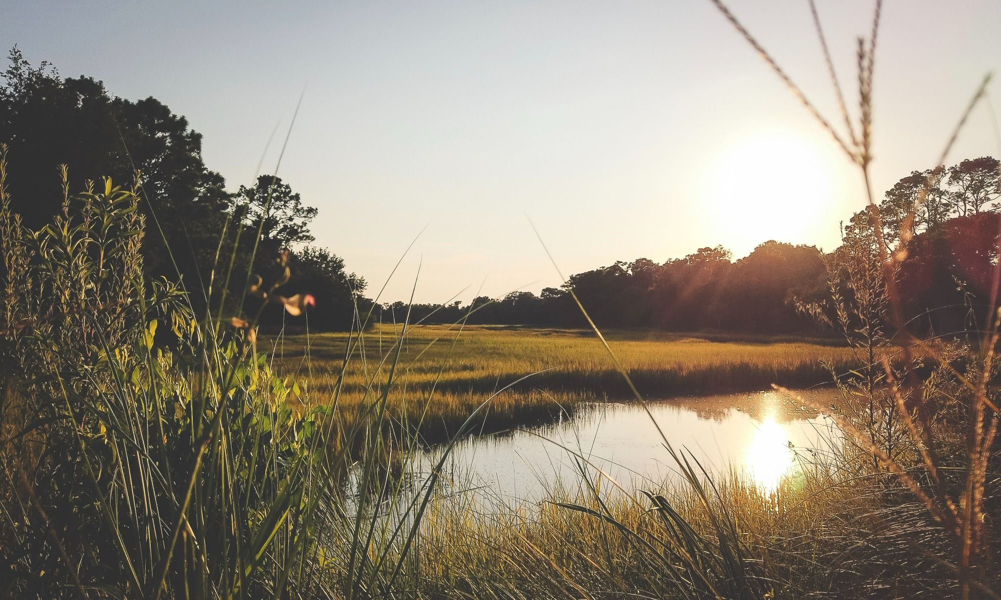 Awendaw, SC Fishing: A Laid-back Fishing Experience