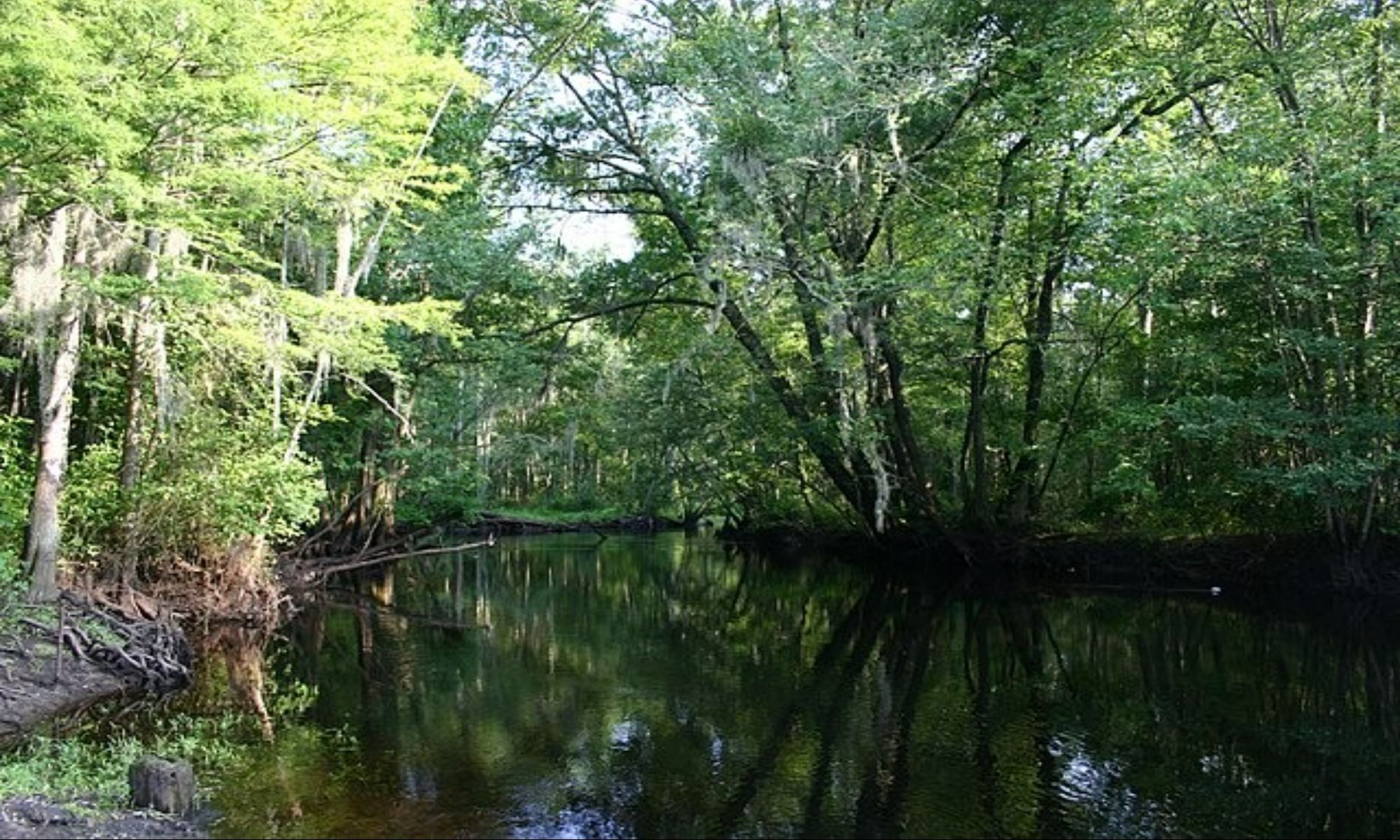 Book Your Fishing Charter in Aynor, SC