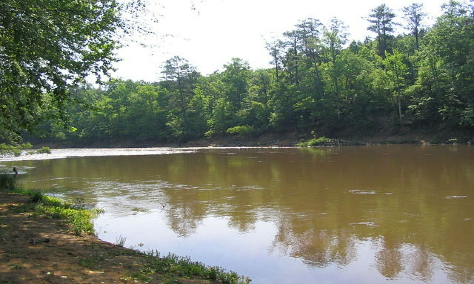 Book Your Fishing Charter in Bainbridge, GA