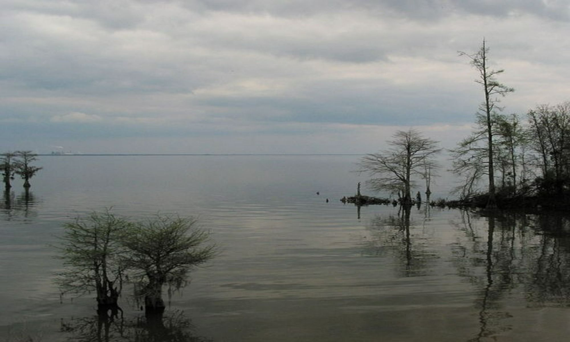 Book Your Fishing Charter in Bamberg, SC