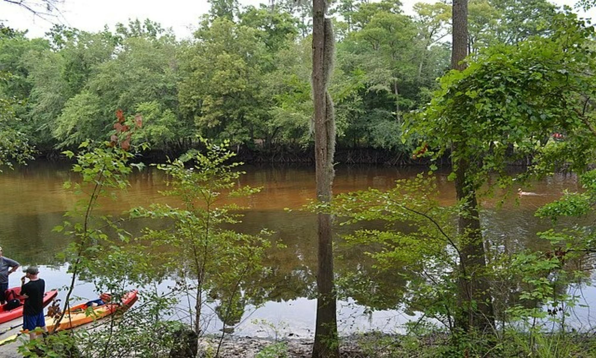 Bamberg, SC Fishing: Wholesome Community Fishing