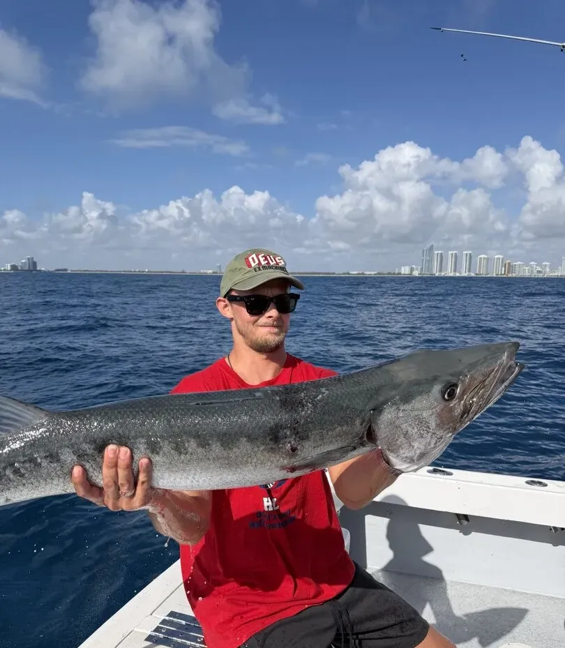 Barracuda Fishing: Tactics, Lures, and Tips for Experienced Anglers