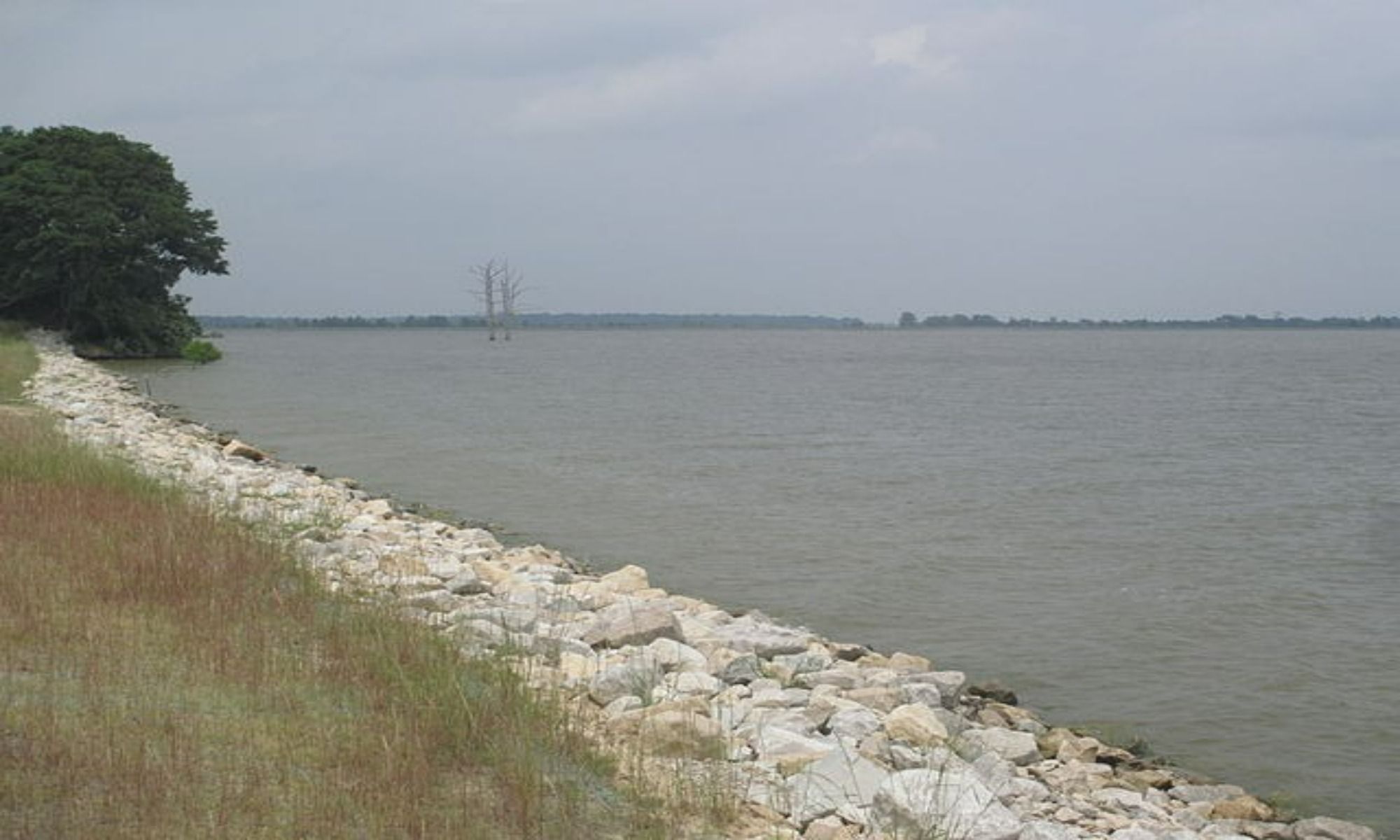 Book Your Fishing Charter in Bastrop, LA