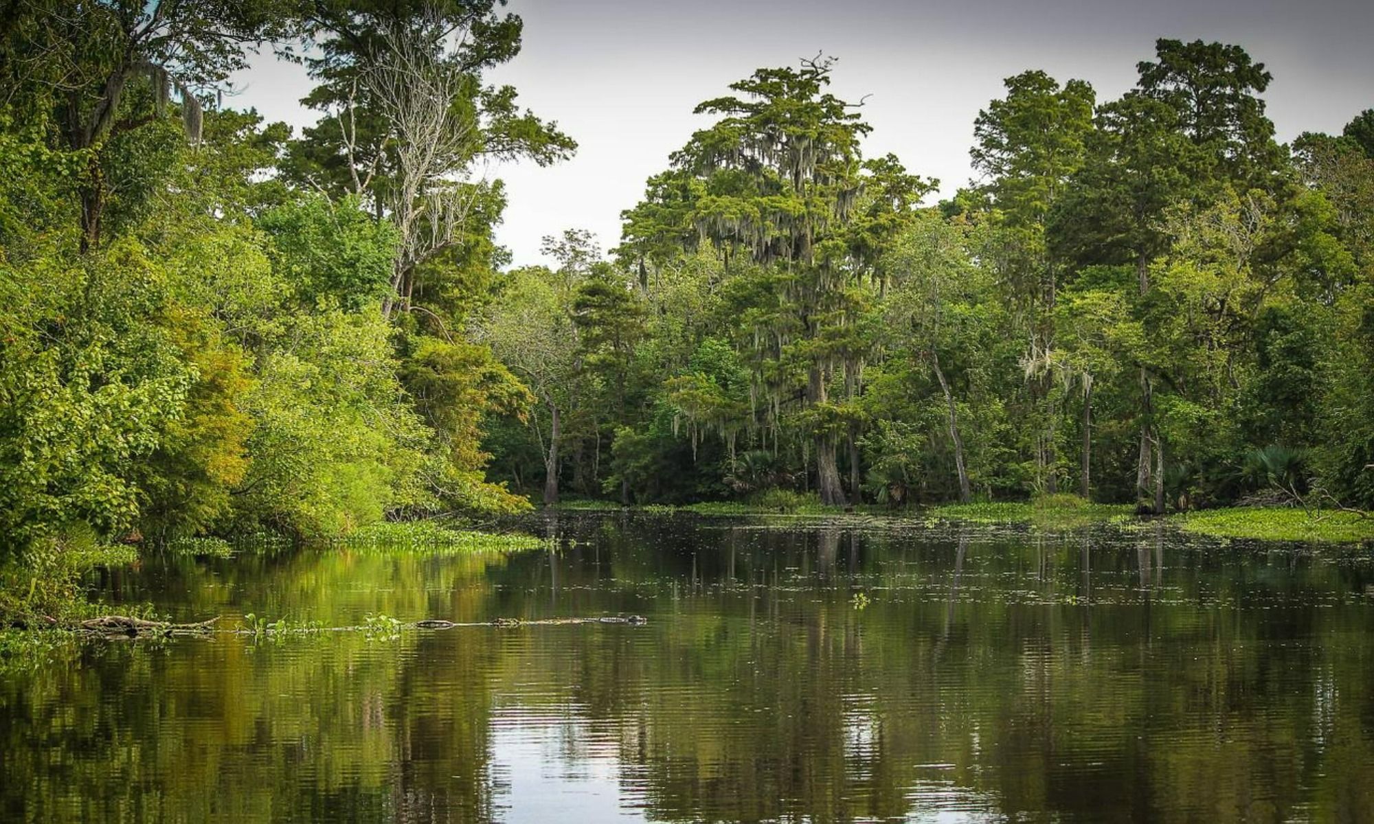 Book a Fishing Charter to Baton Rouge, LA