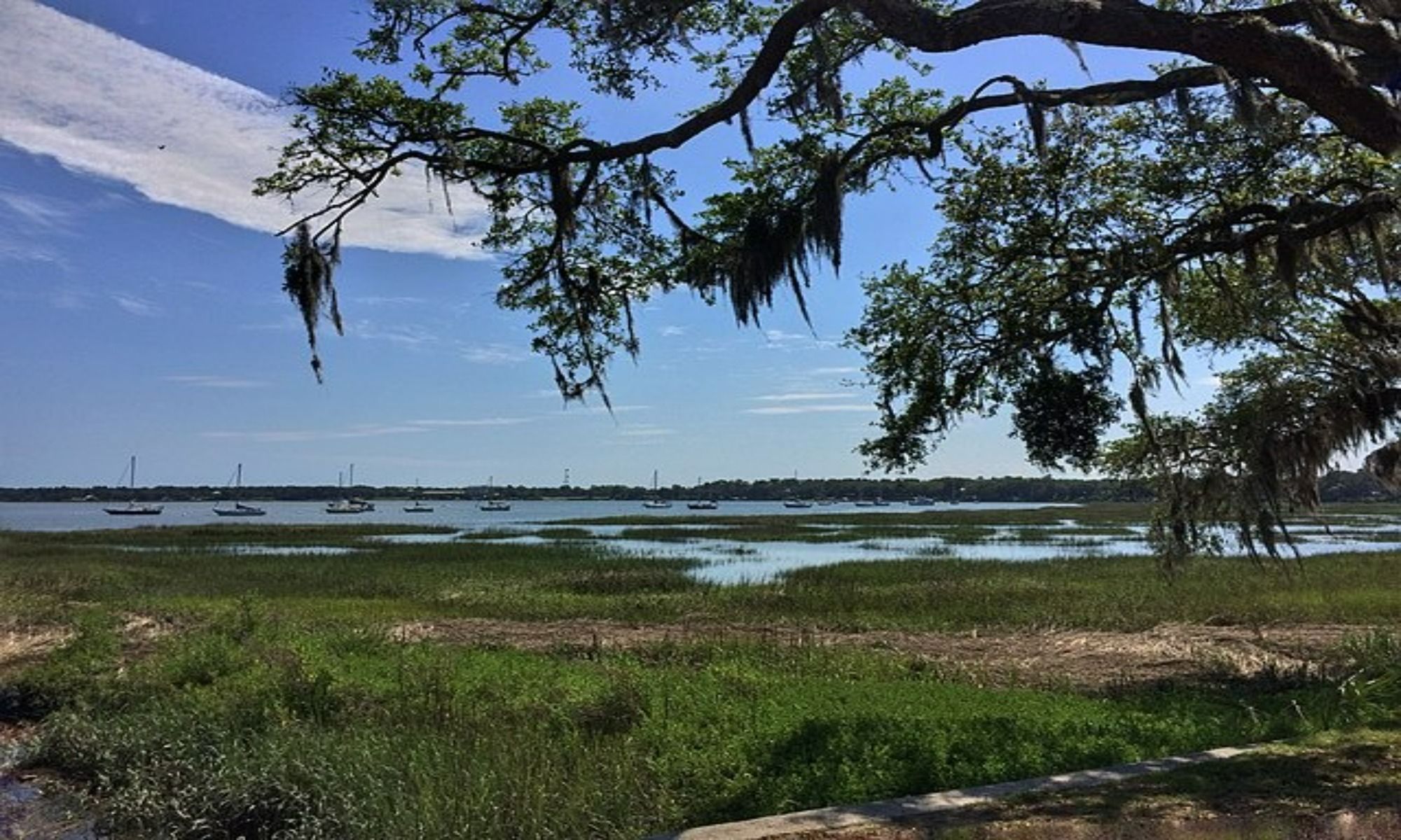 Beaufort, SC Fishing: Productive and Diverse Fishing at the Heart of South Carolina’s Lowcountry Region