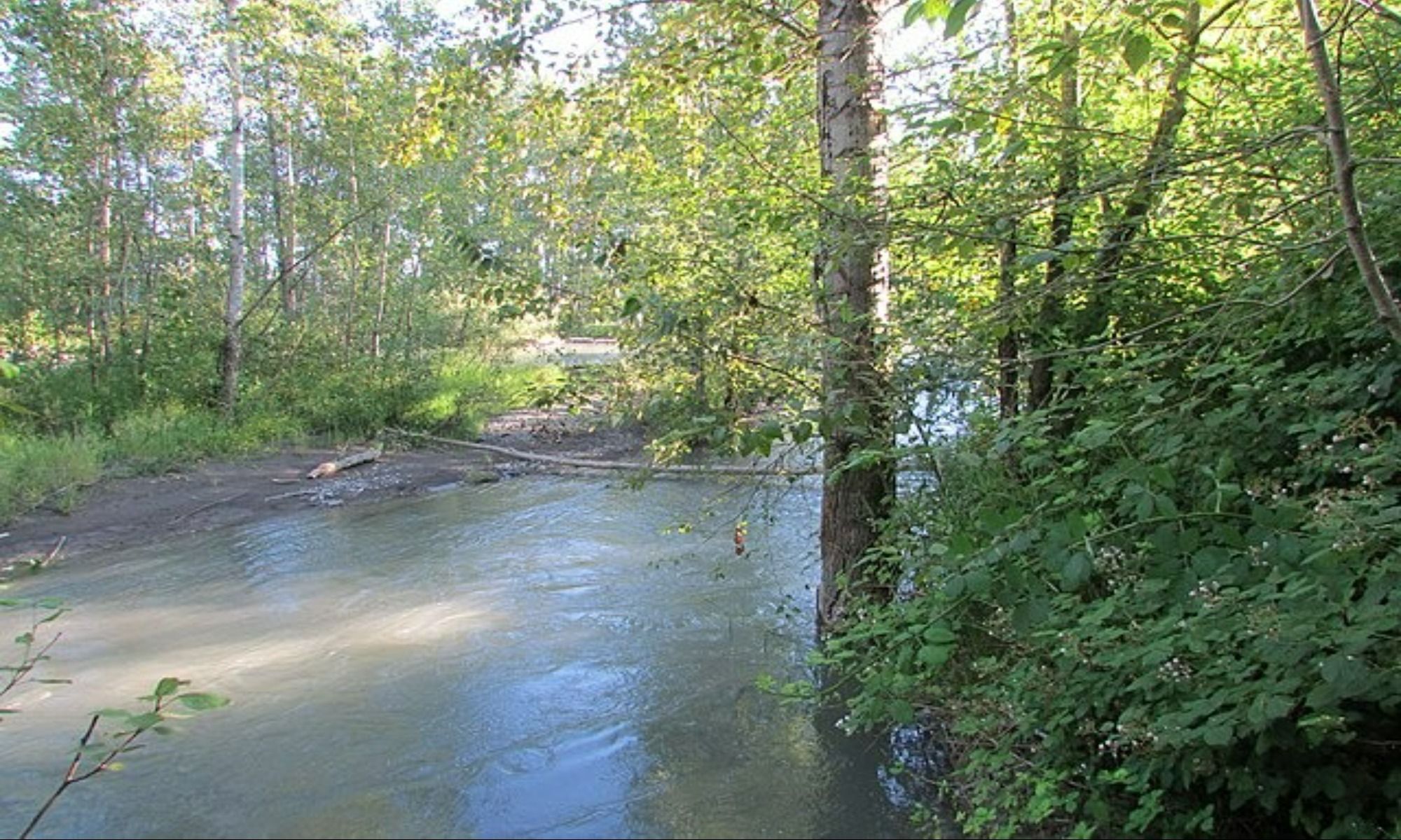 Book Your Fishing Charter in Beaver, AR