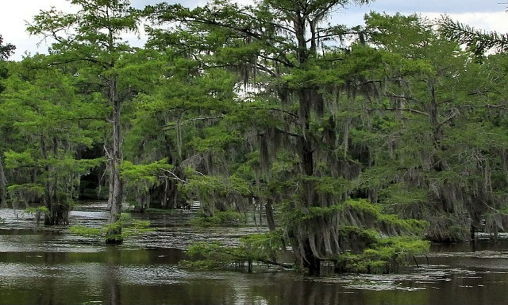 Belcher, LA Fishing: Village Fishing in Louisiana