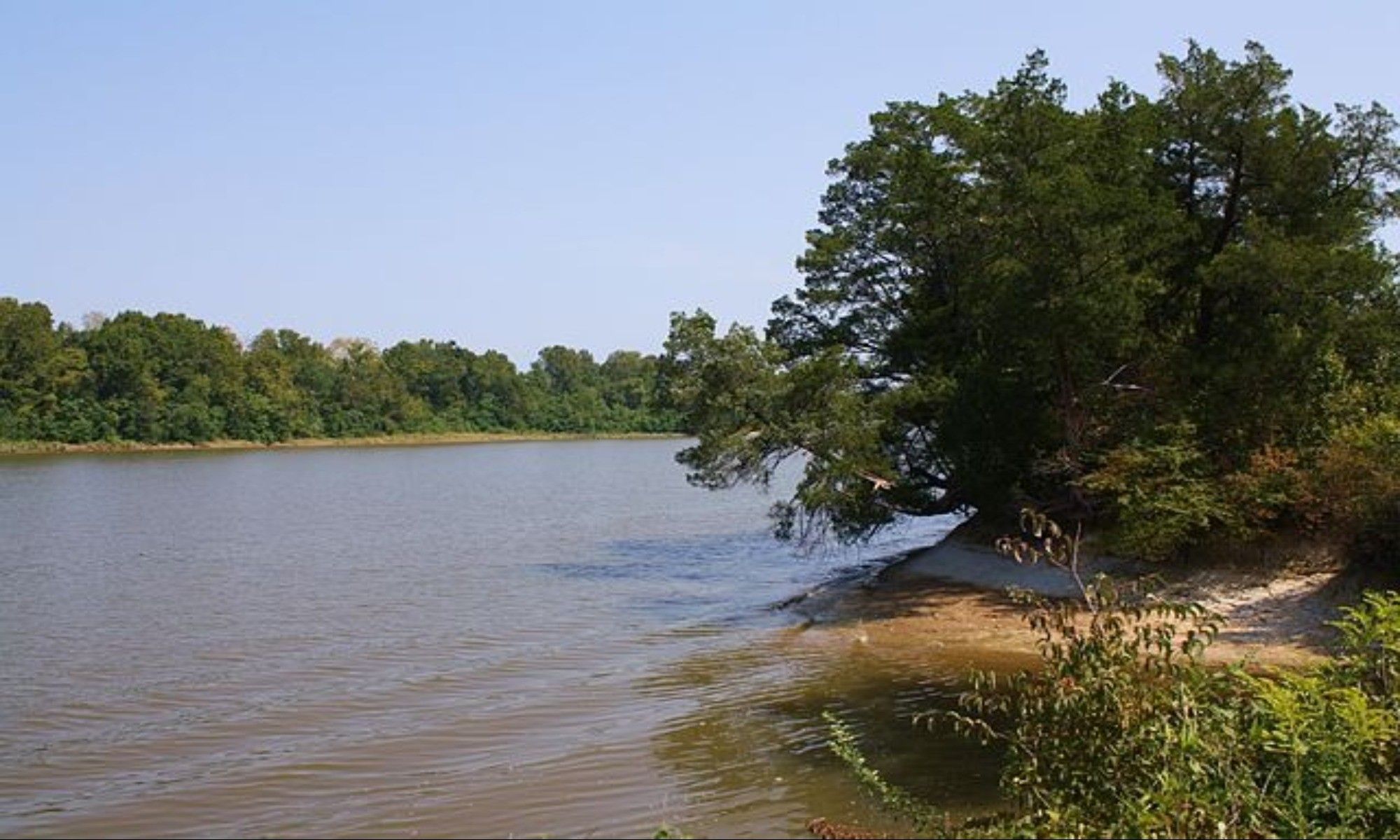 Book Your Fishing Charter in Belk, AL