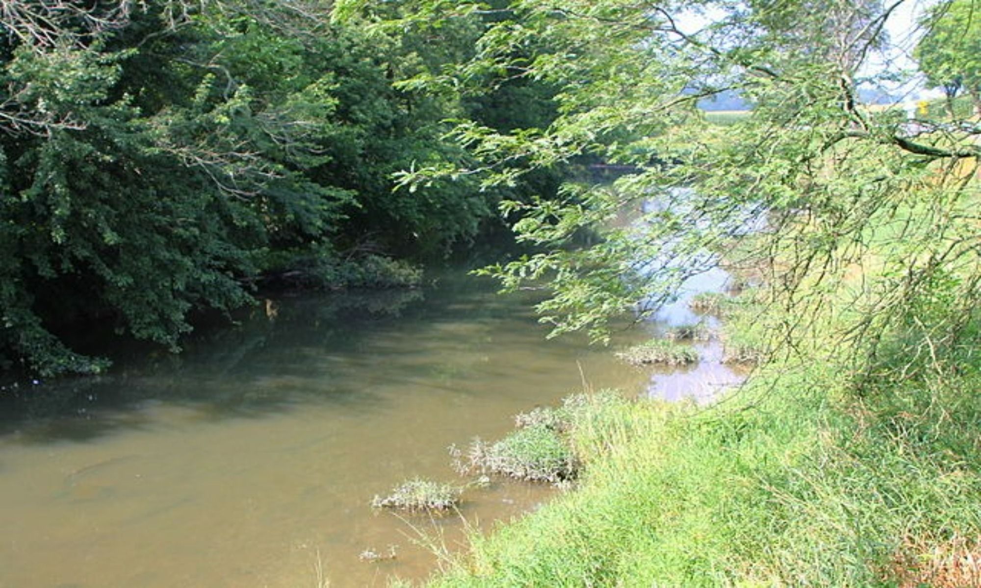 Belton, SC Fishing: Suburban Rural Angling in South Carolina