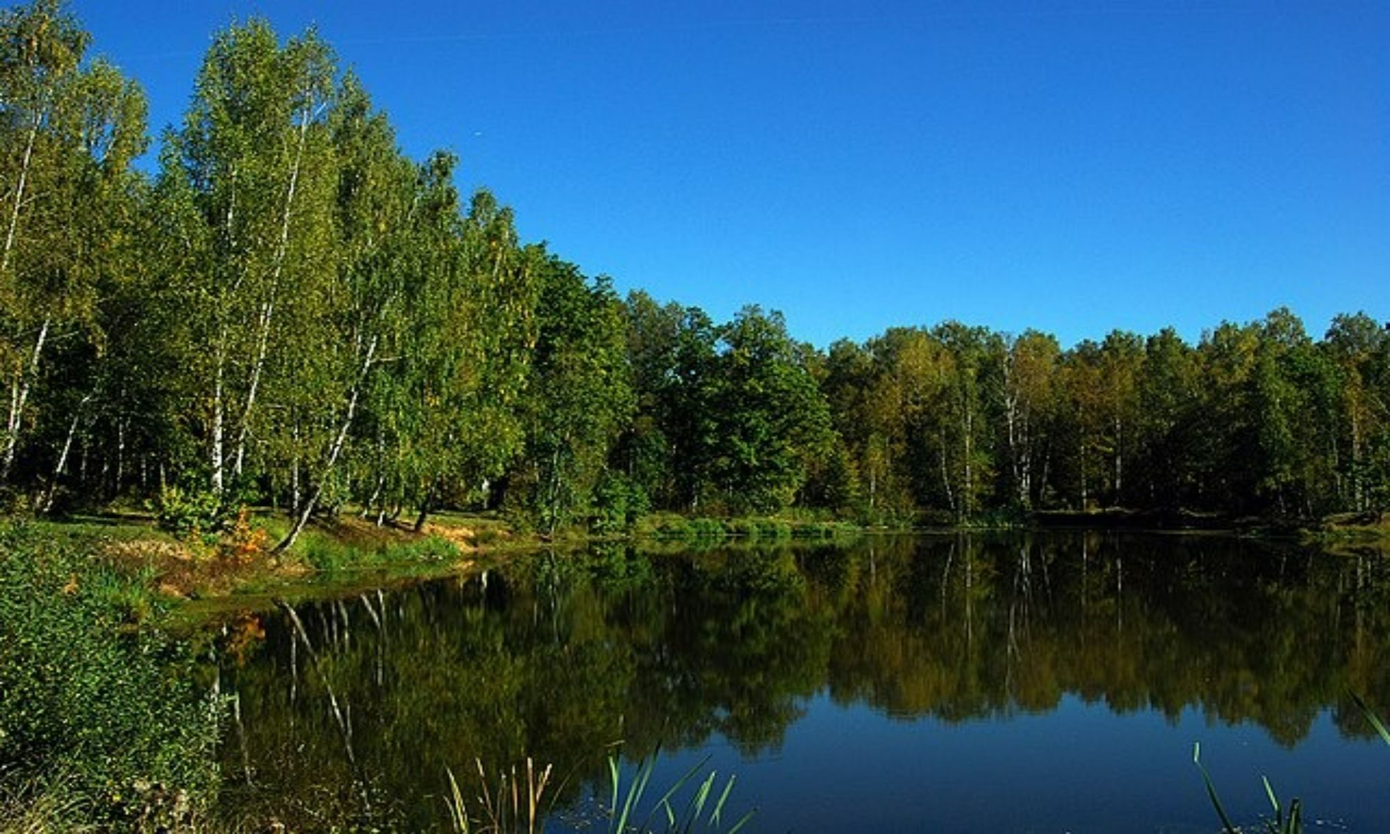 Benton, AR Fishing: Impressive Waters of the Saline County