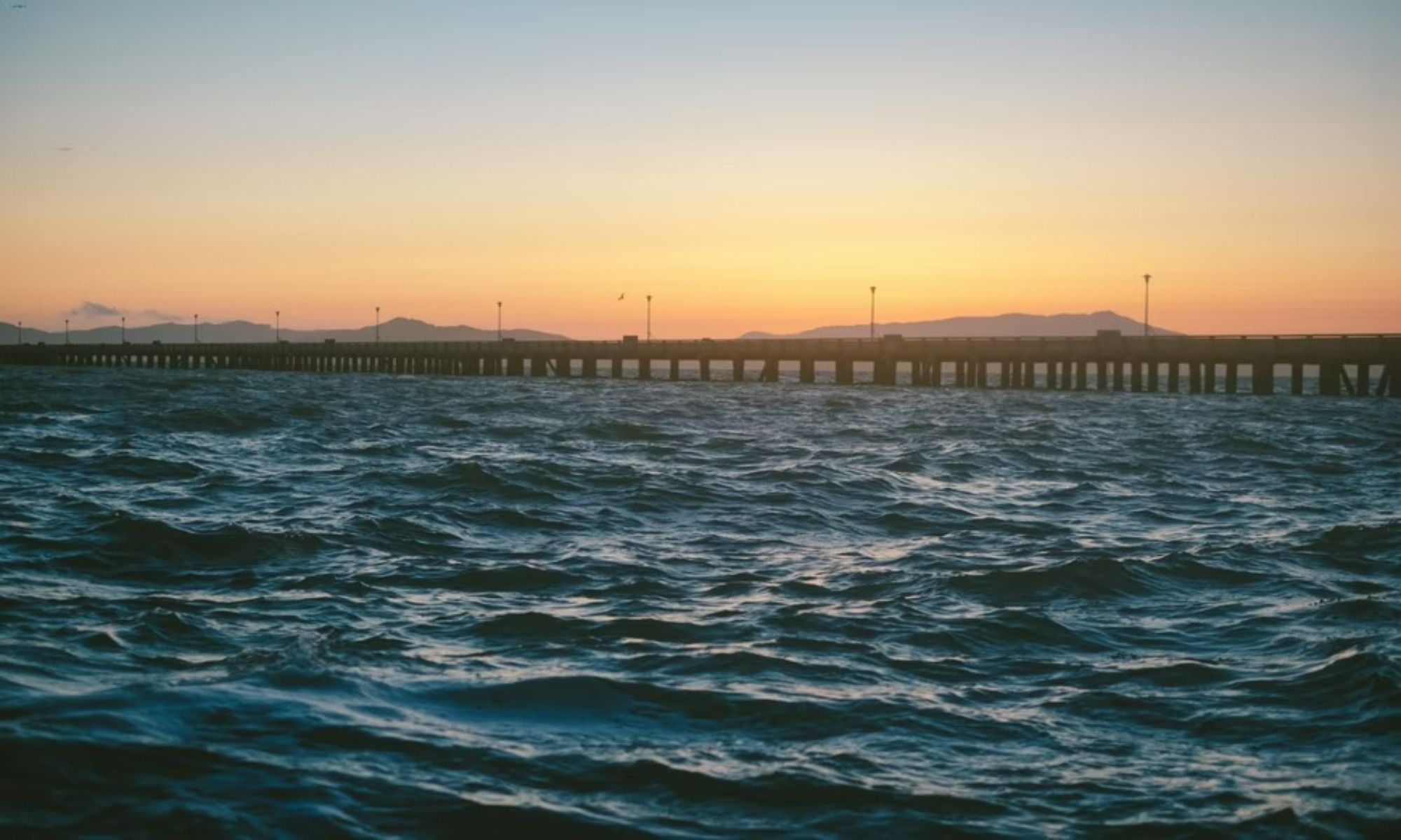 Book Your Fishing Charter in Berkeley, CA