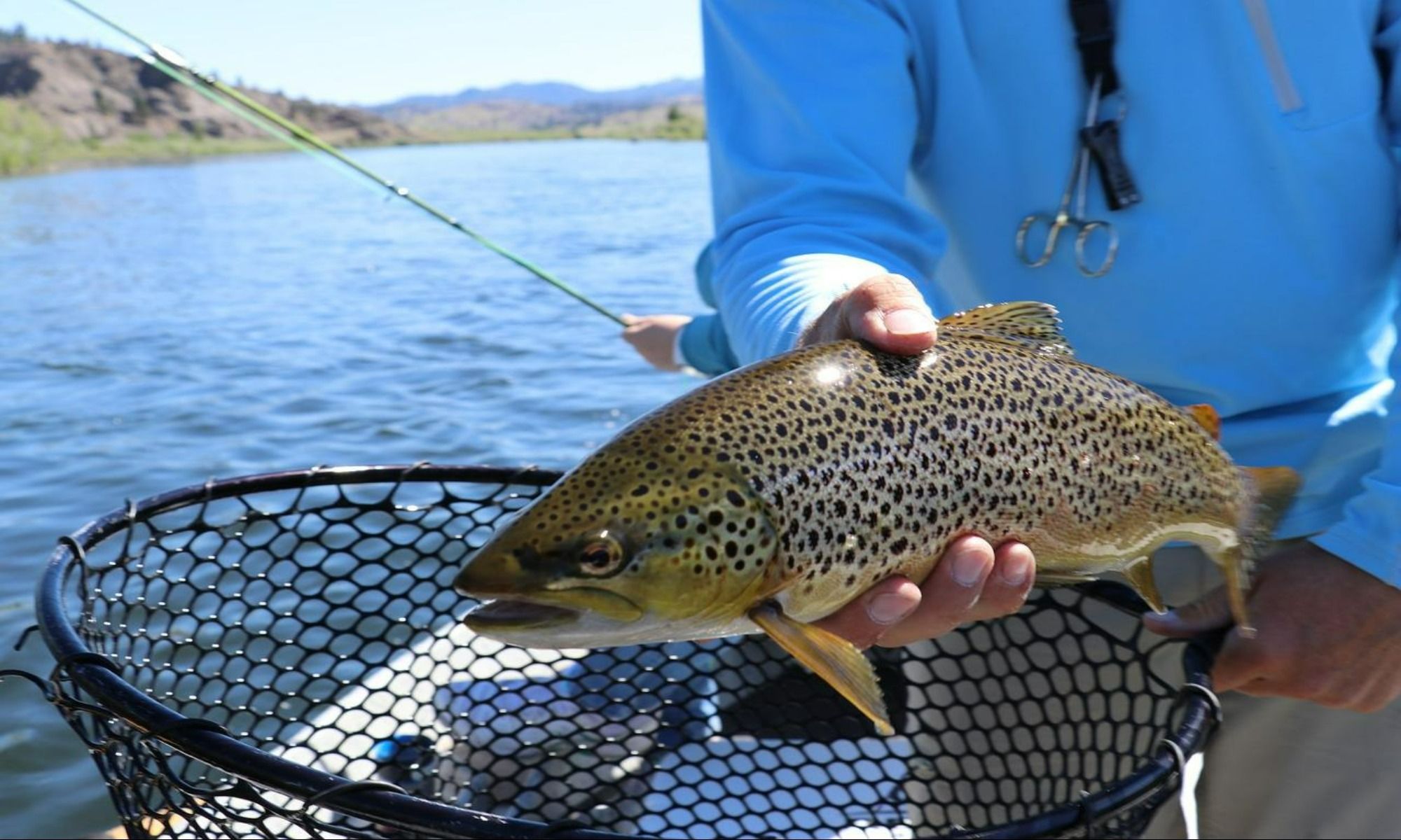 The Best Way To Catch Trout Using a Mackerel-Head Jig