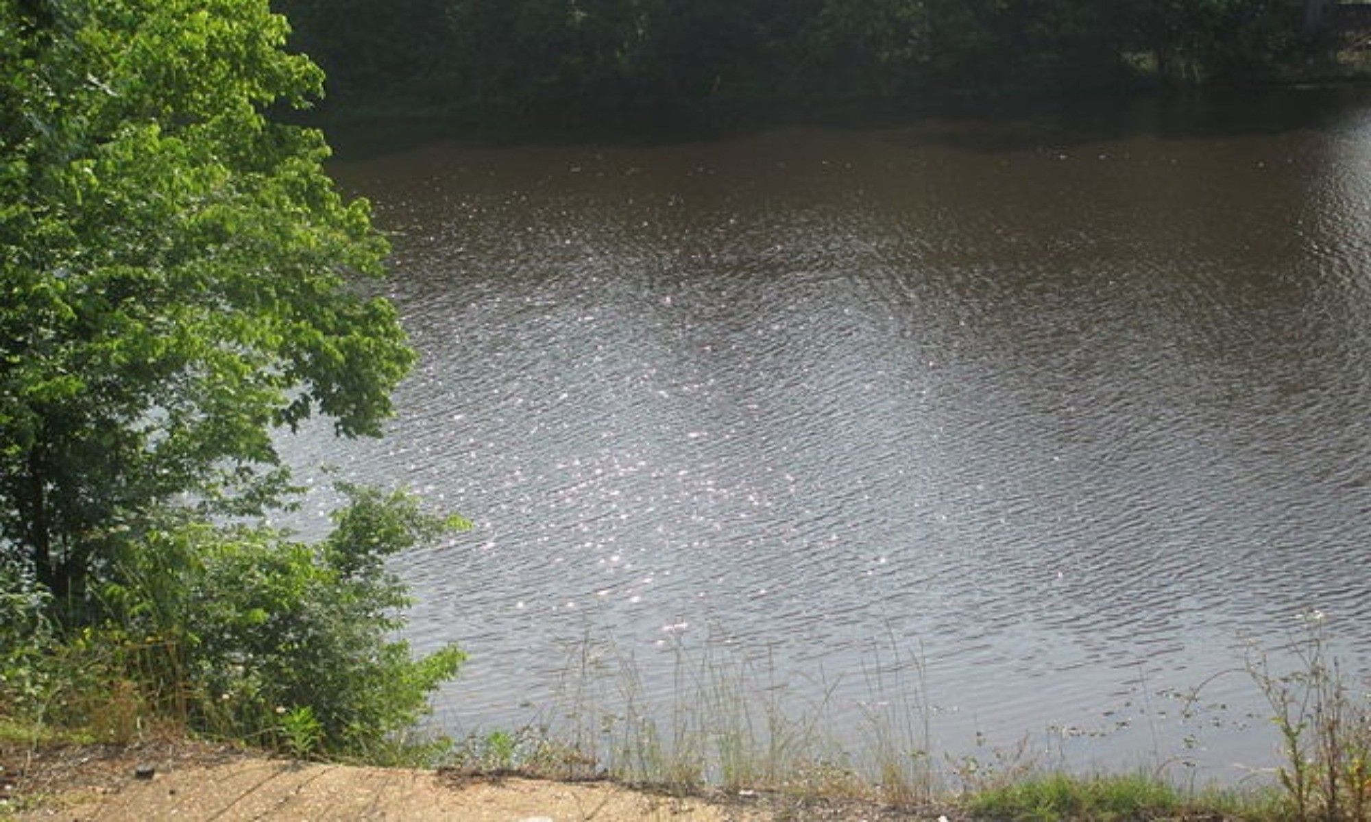 Book Your Fishing Charter in Bienville Parish, LA