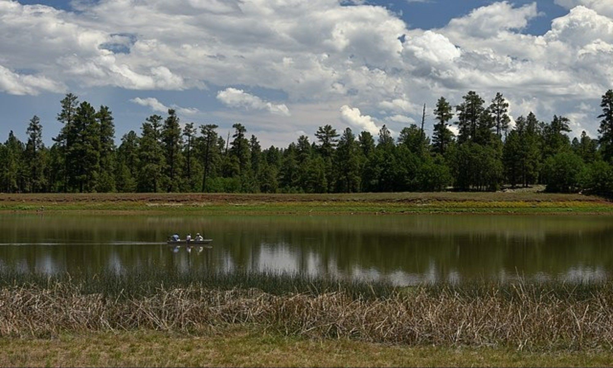 Billingsley, AL Fishing: A Fishing Haven In Central Alabama