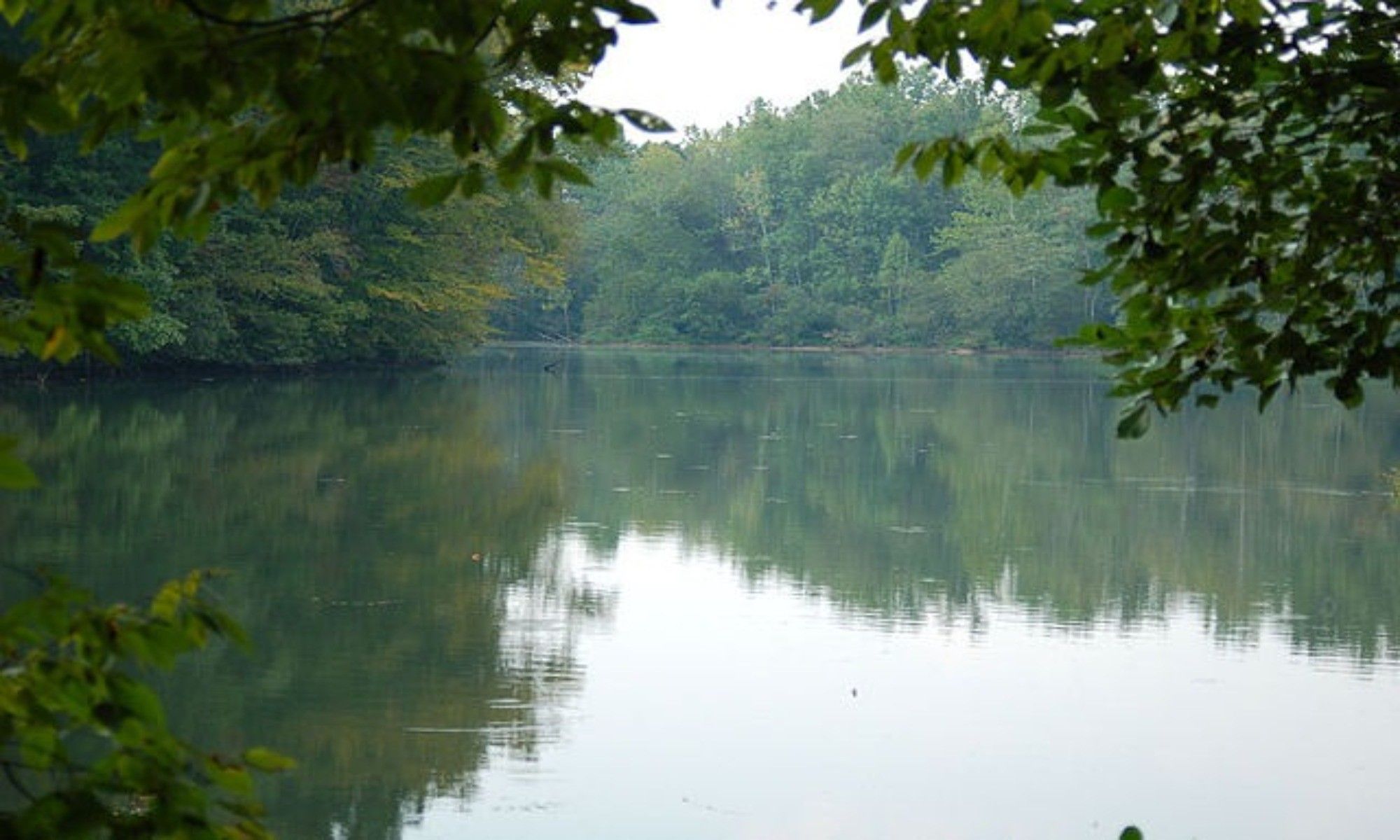 Black, AL Fishing: Haven of Diverse Fishing Opportunities
