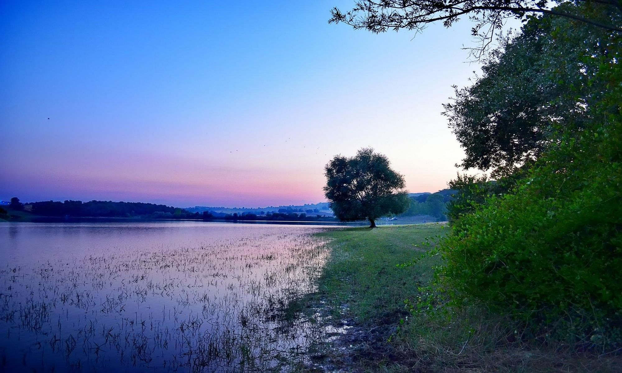 Book Your Fishing Charter in Blacksburg, SC