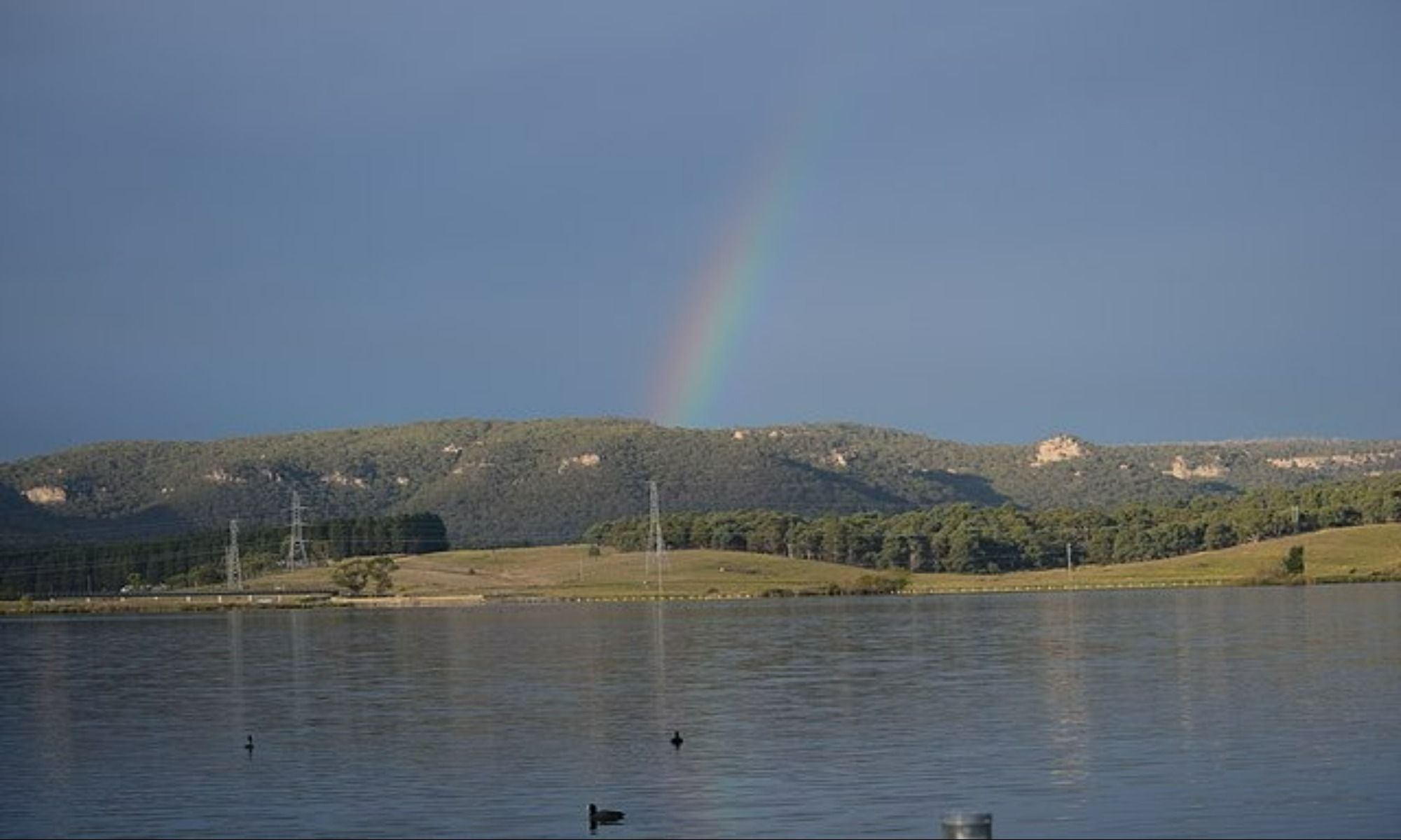 Book Your Fishing Charter in Blenheim, SC