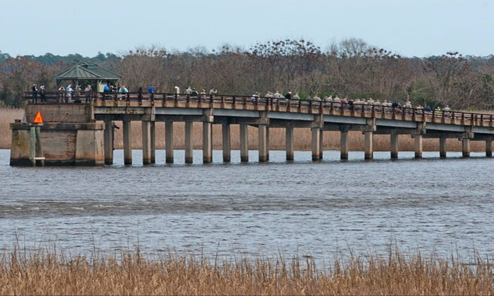 Blenheim, SC Fishing: Amazing Adjacent Small Town Fishing in South Carolina