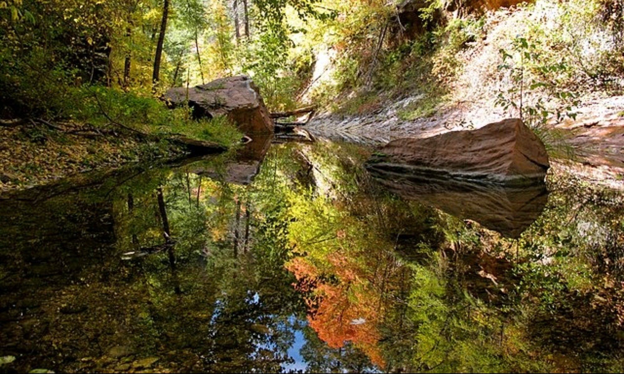 Blountsville, AL Fishing: Bountiful River Fishing in North Alabama