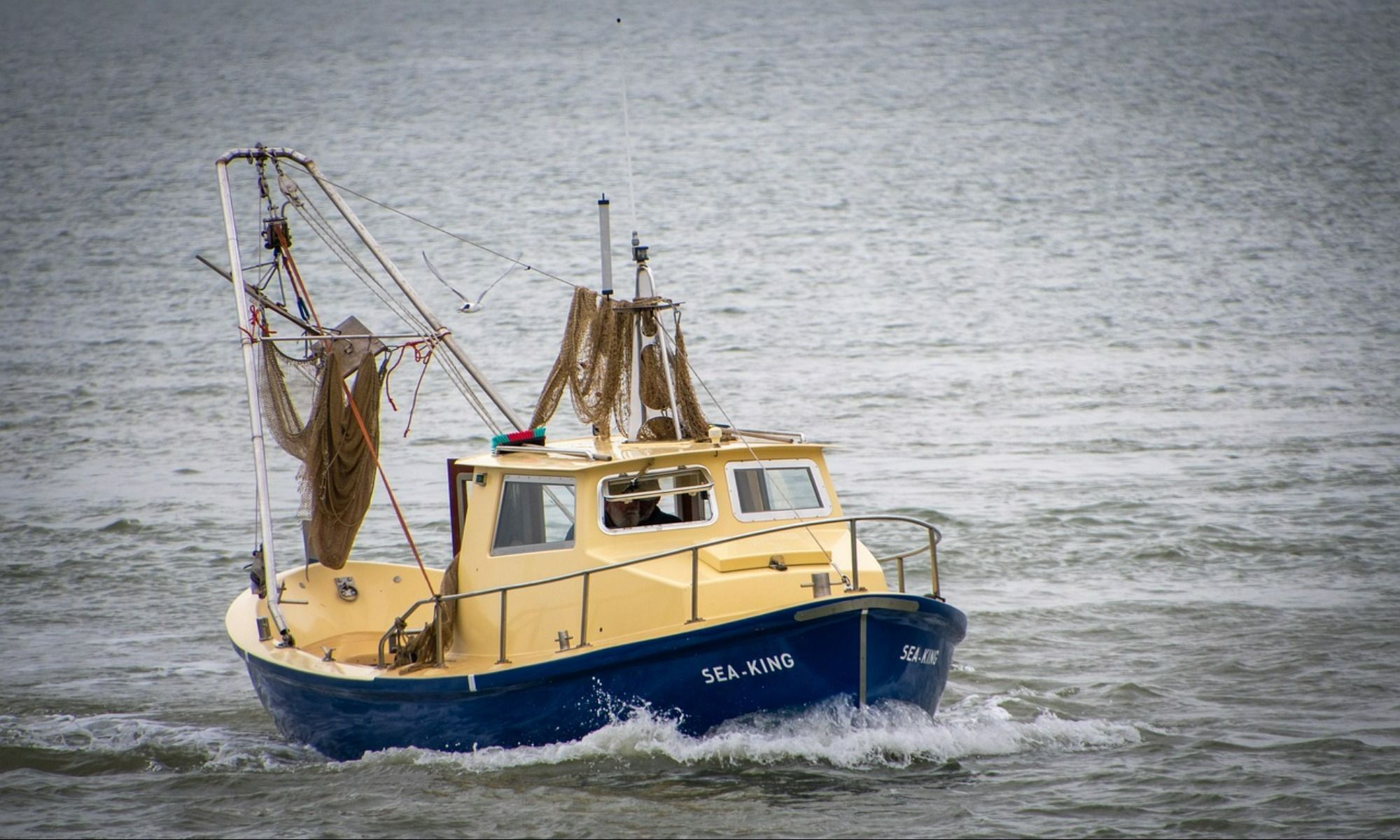 Helpful Tips on Naming Your Boat