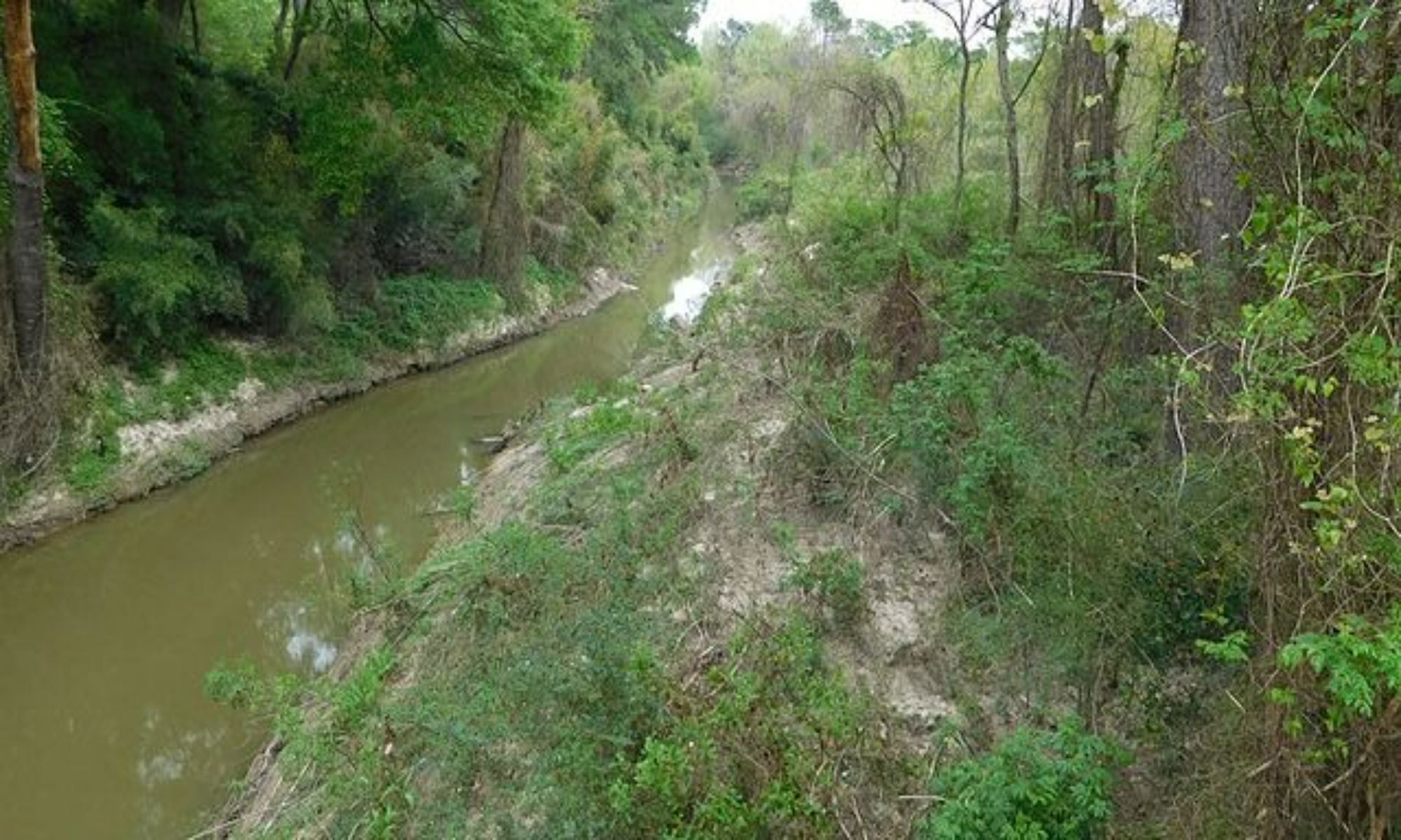 Book Your Fishing Charter in Bogalusa, LA