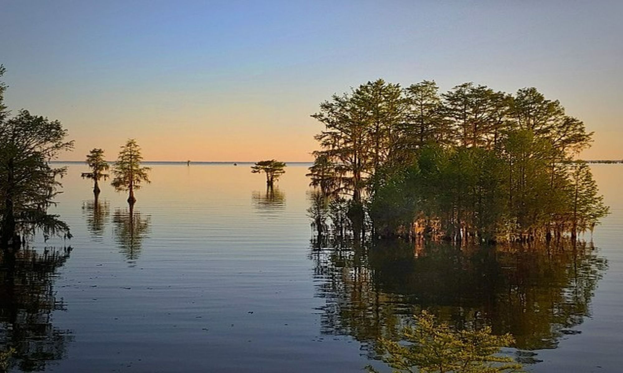 Bonneau, SC Fishing: Excellent Entry to the Productive Freshwater Fishing in Santee Cooper Country