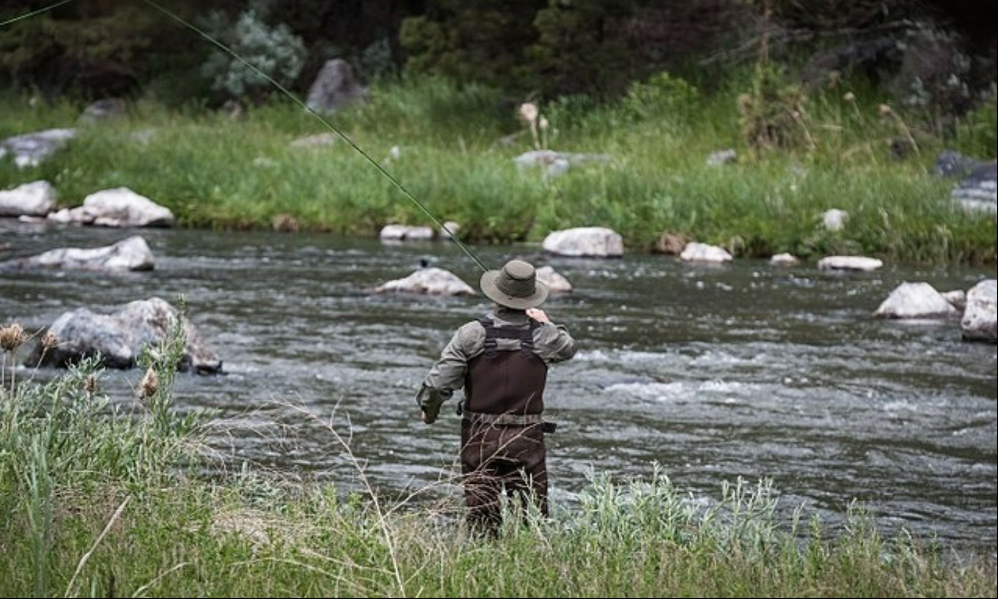 5 Books Fly Fishers Should Read