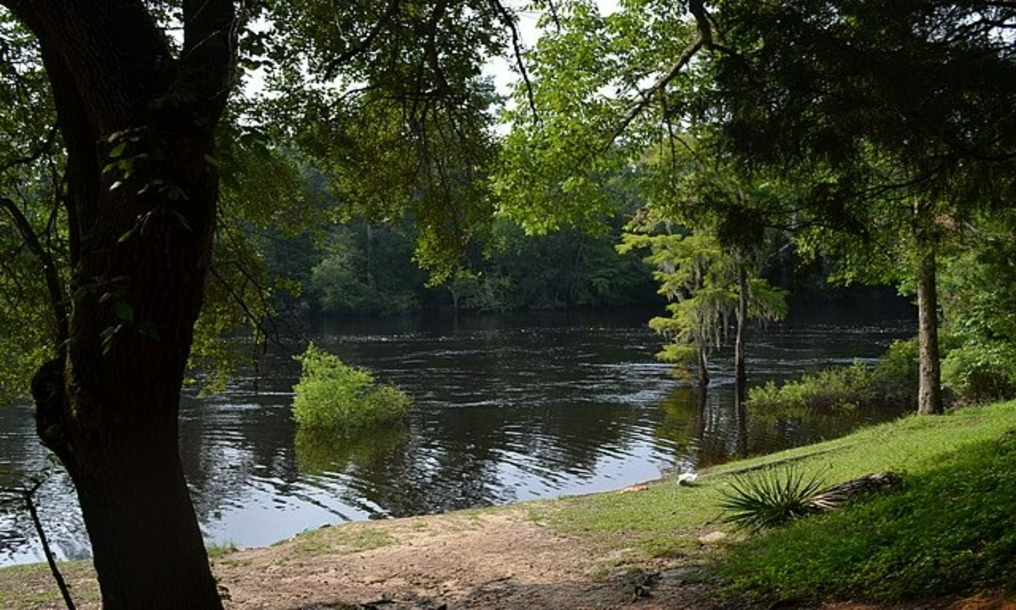 Book Your Fishing Charter in Branchville, SC
