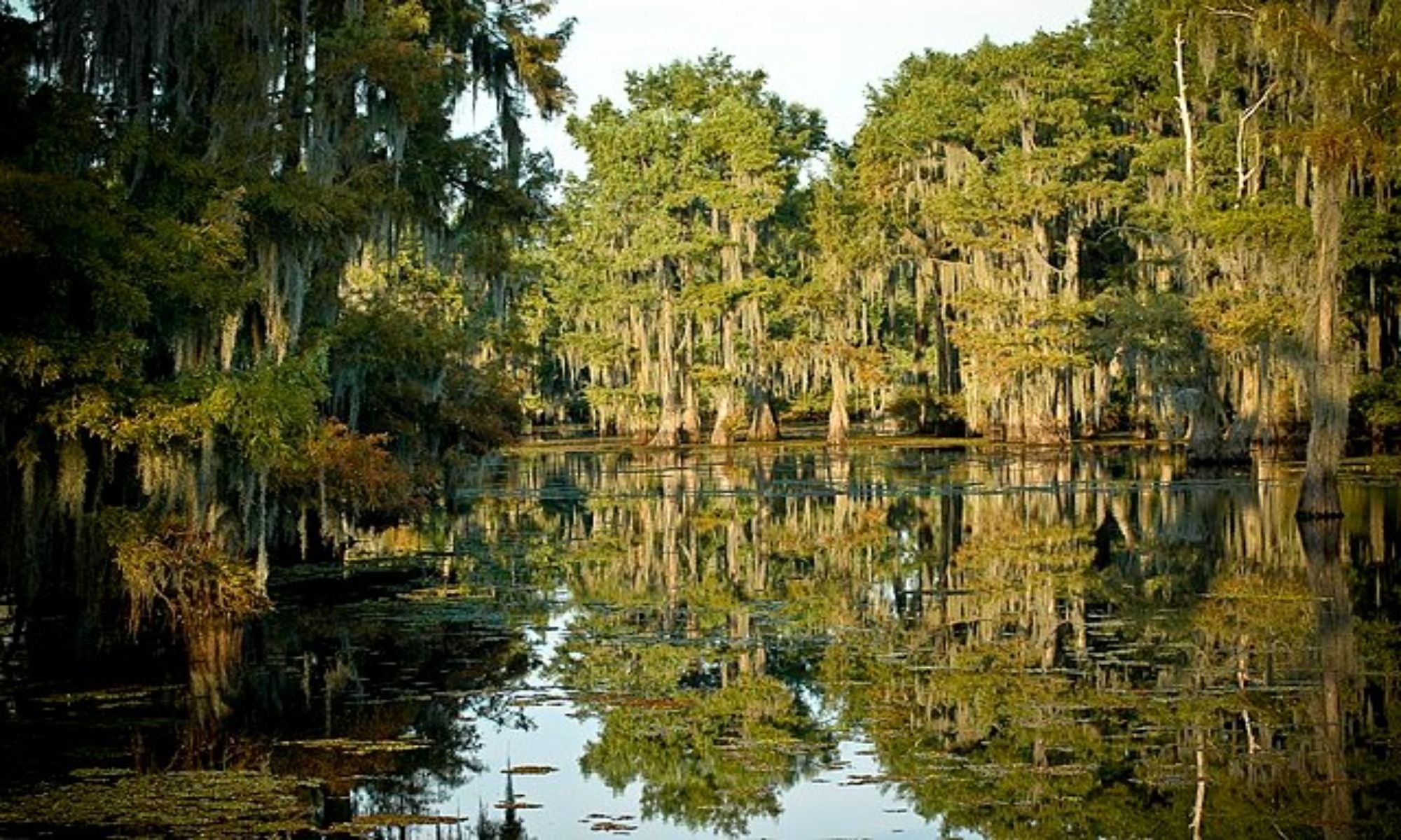 Book Your Fishing Charter in Bryceland, LA