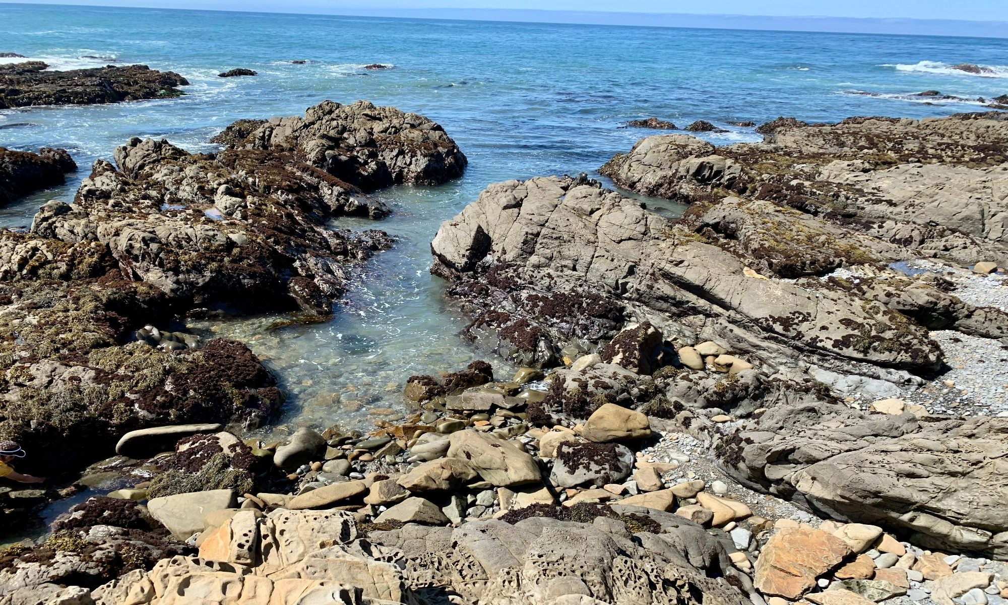 Cambria, CA Fishing: Seaside Fishing Opportunities in the Central Coast