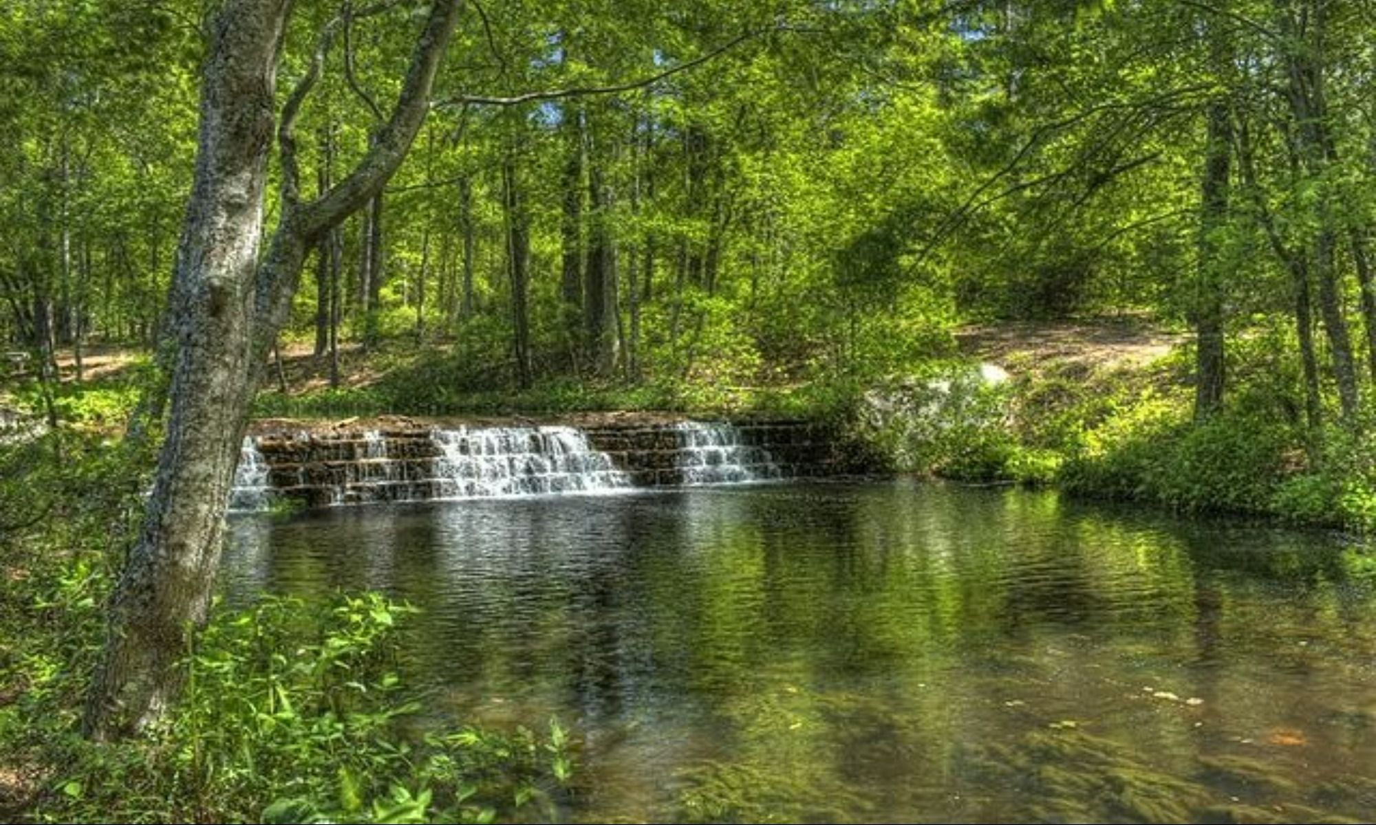 Book Your Fishing Charter in Camden, SC