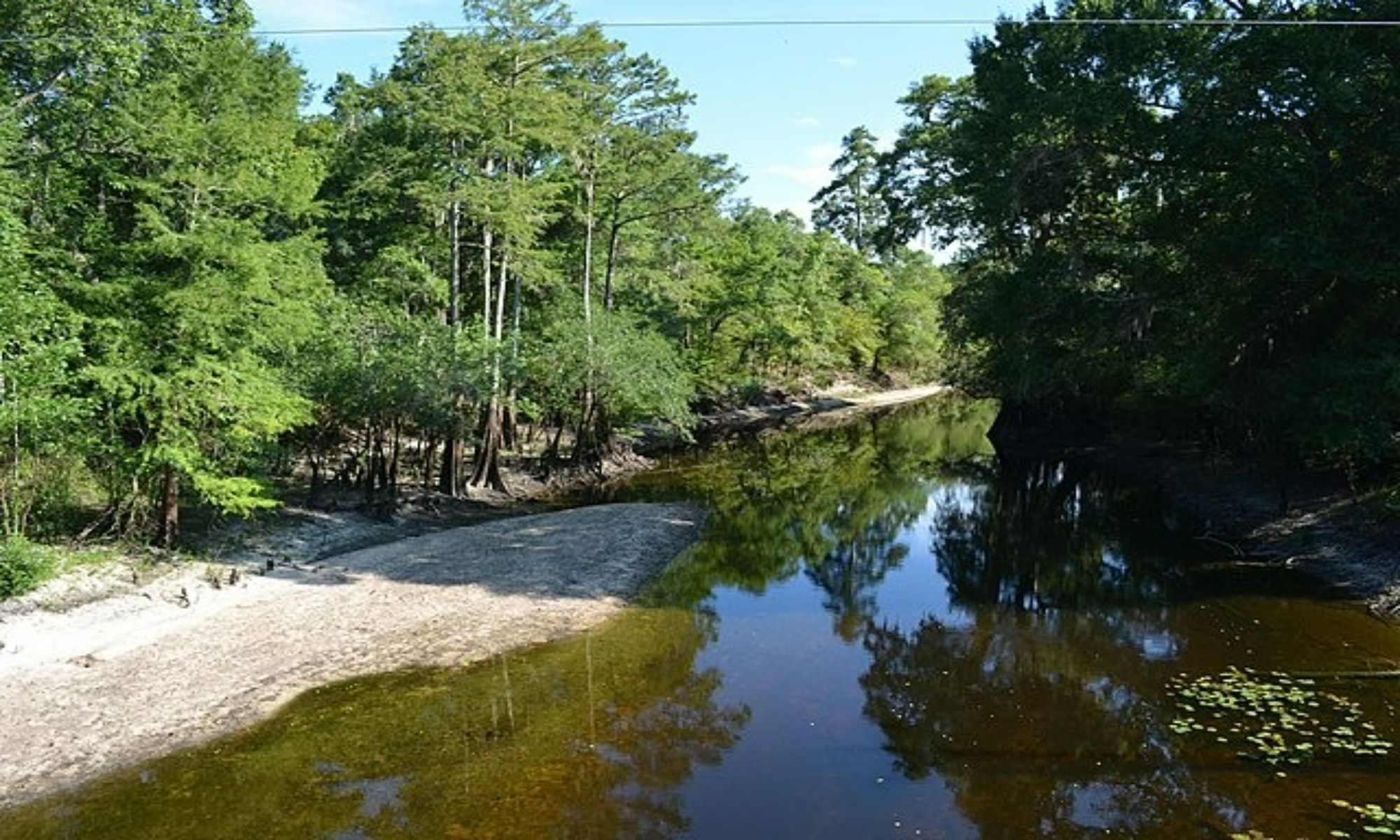 Cameron, SC Fishing: Experience Angling in South Carolina’s Pretty Little Town