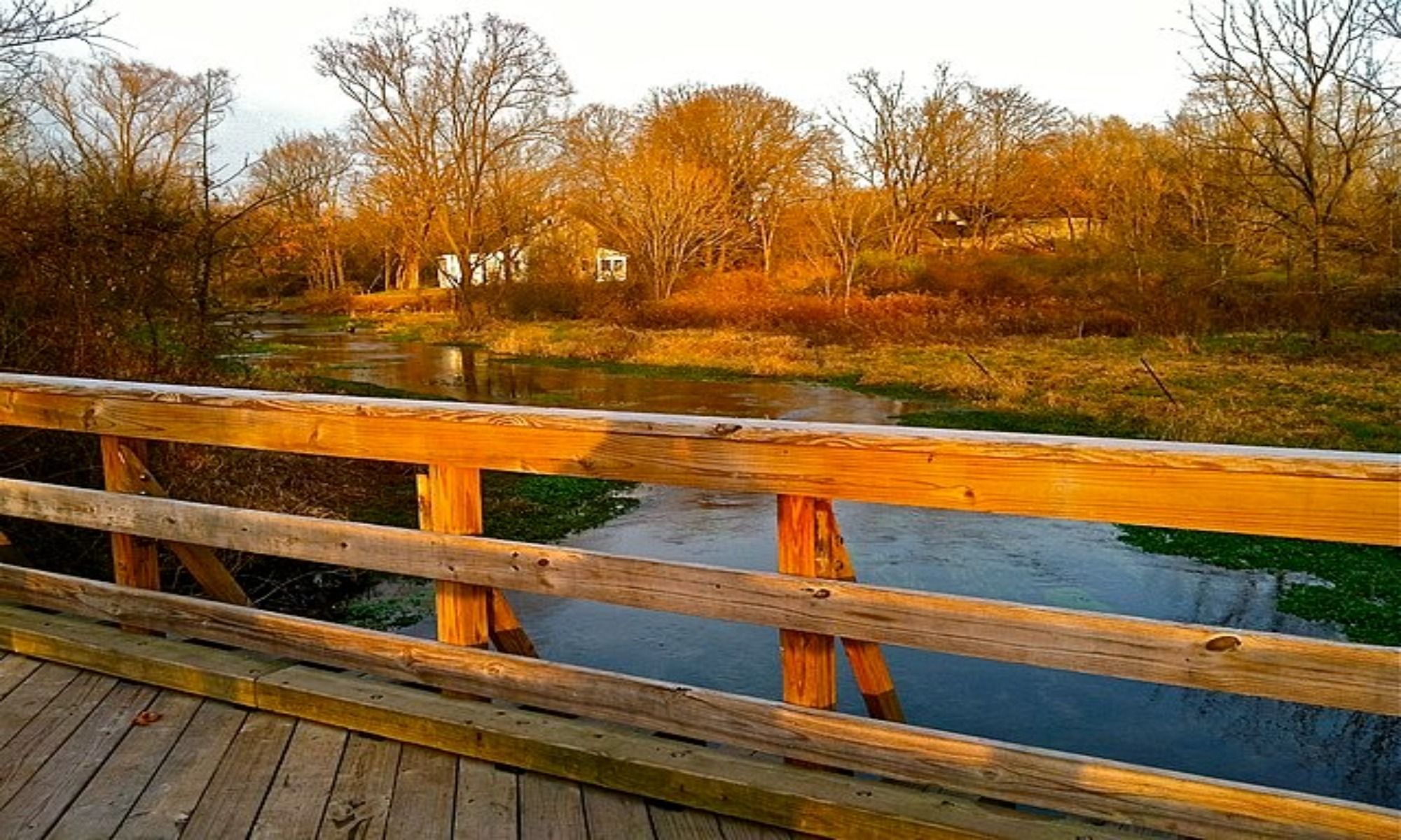 Book Your Fishing Charter in Carlisle, PA