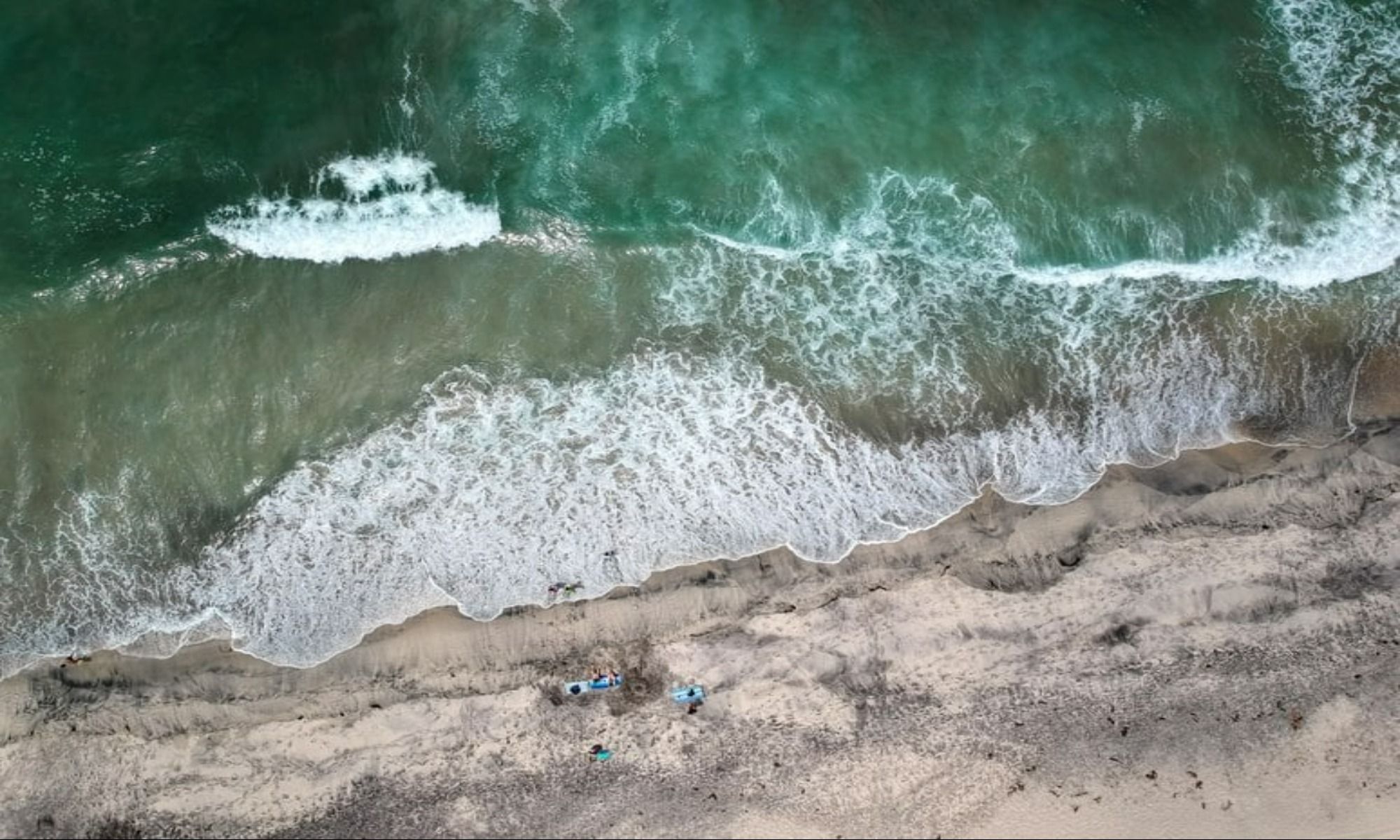 Carlsbad, CA: The Best Fishing Experience Out in the West Coast